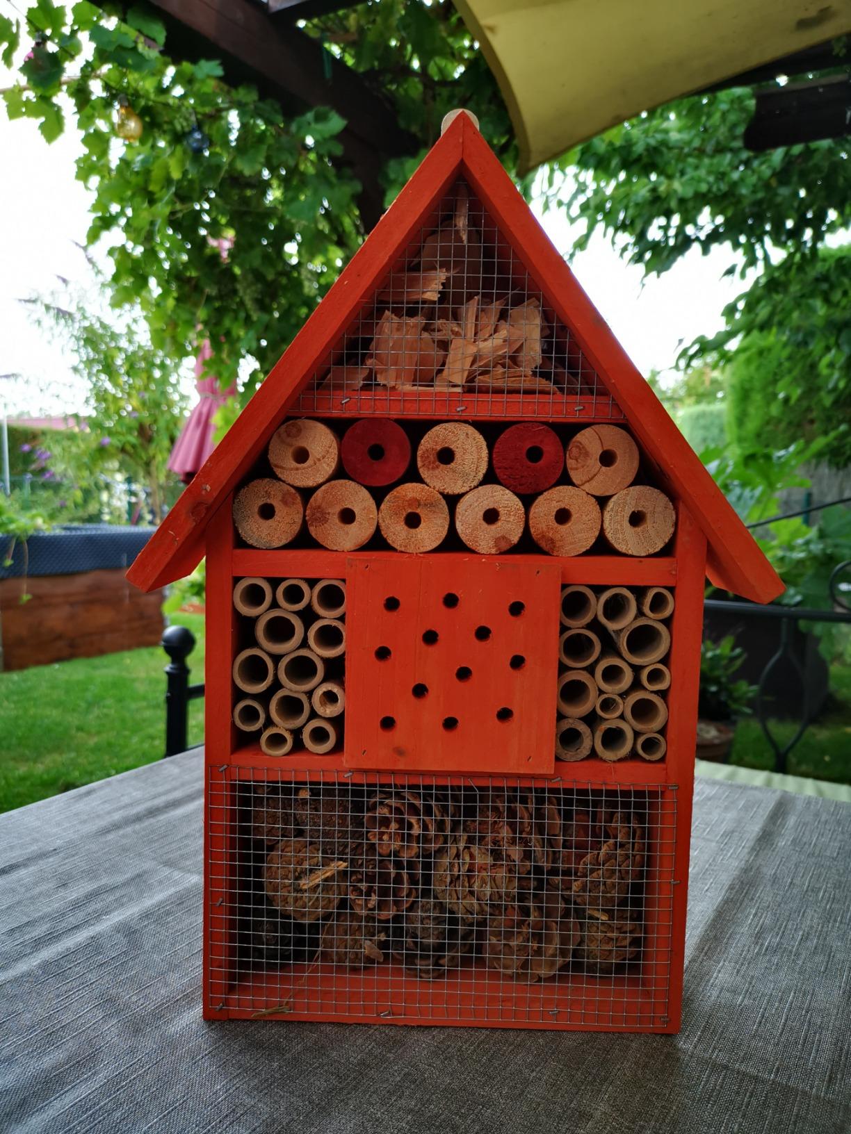 Wildbienen waren sofort da