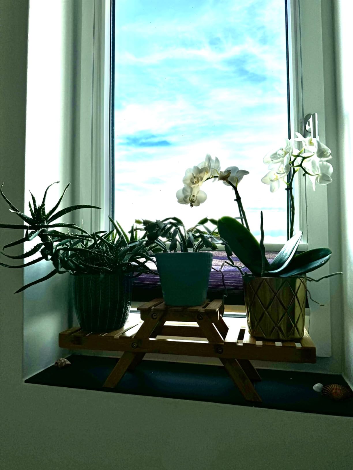 Süßes Teil für die Fensterbank