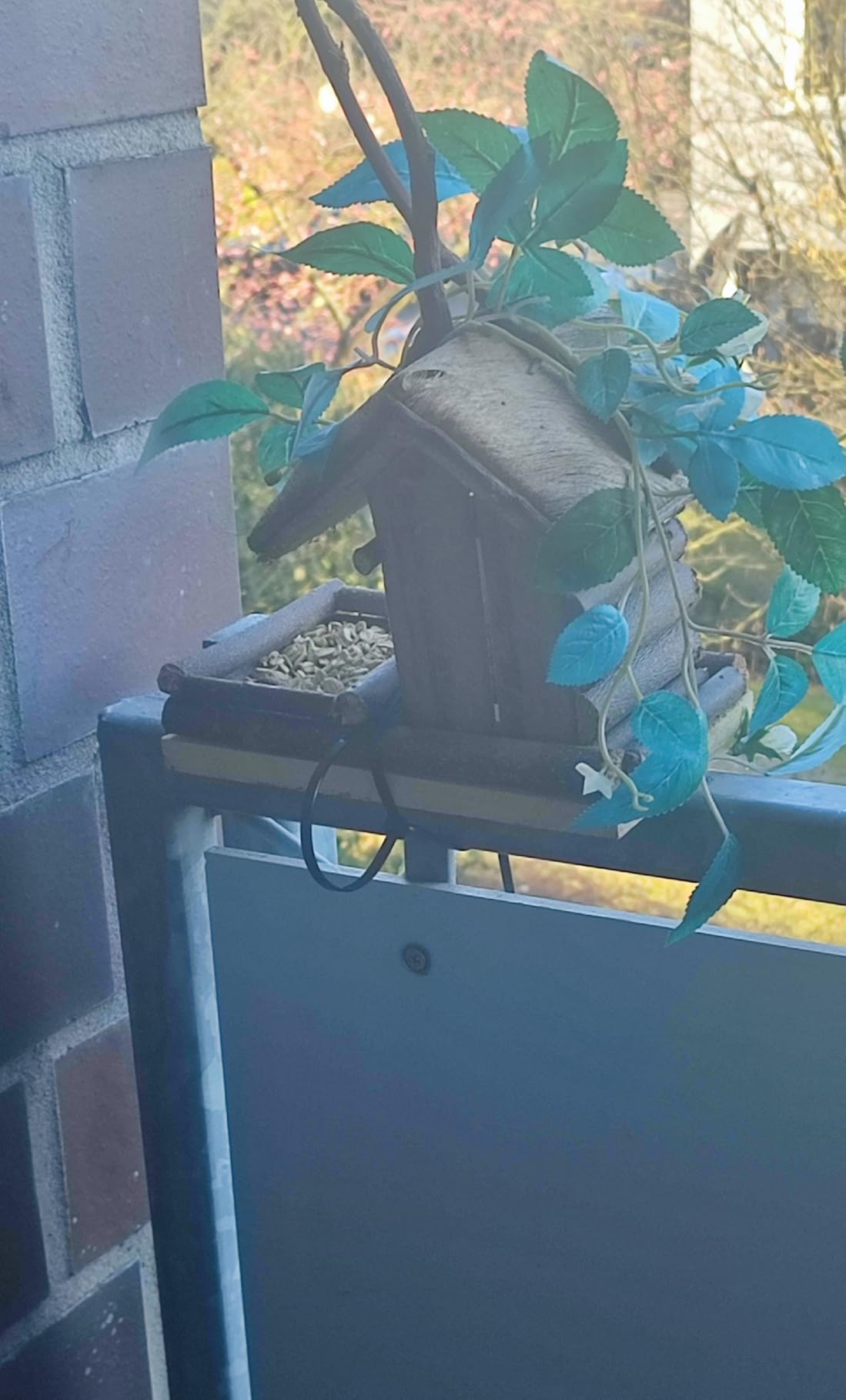 Vögel lieben es