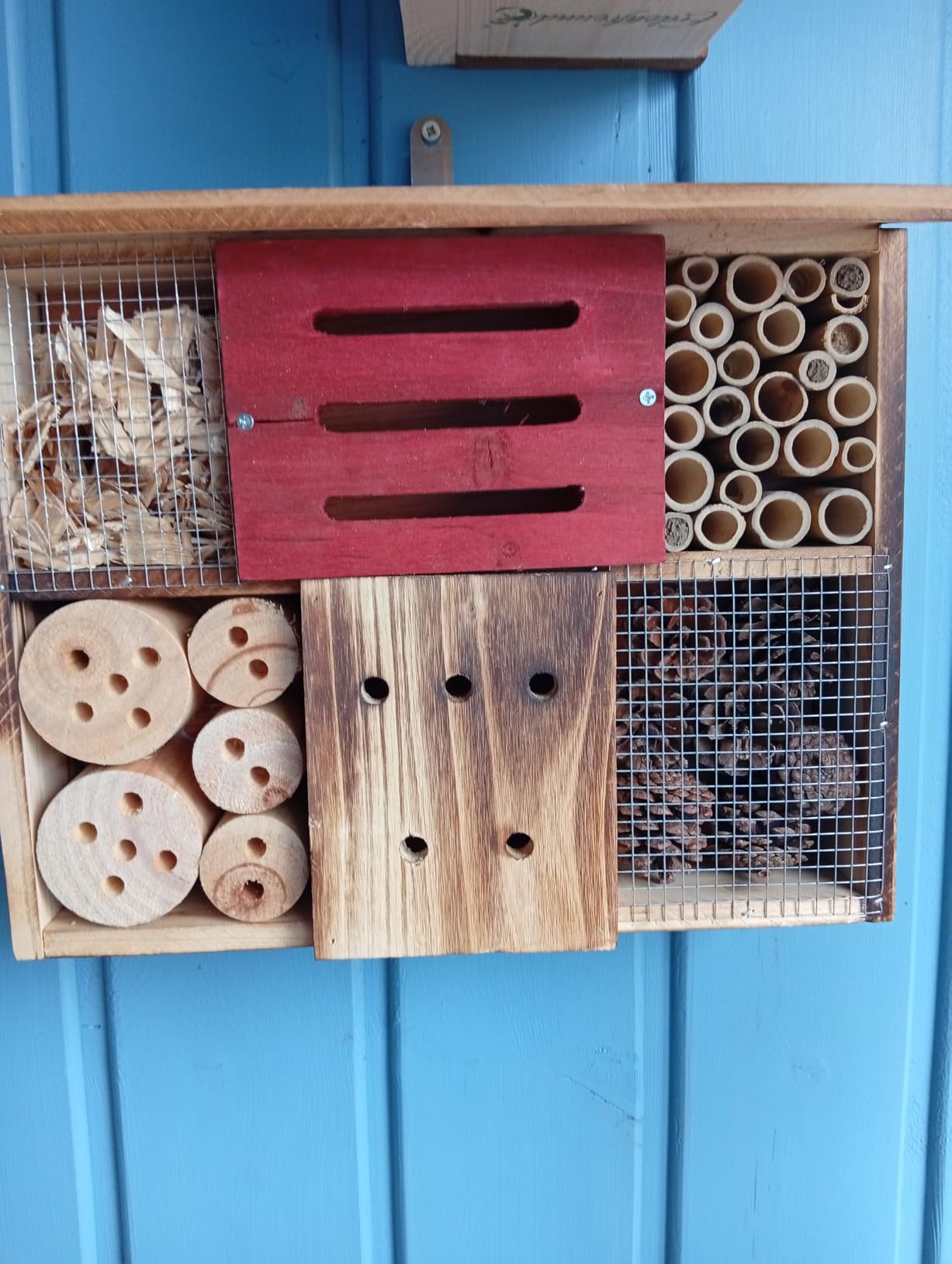 Bienen fühlen sich wohl