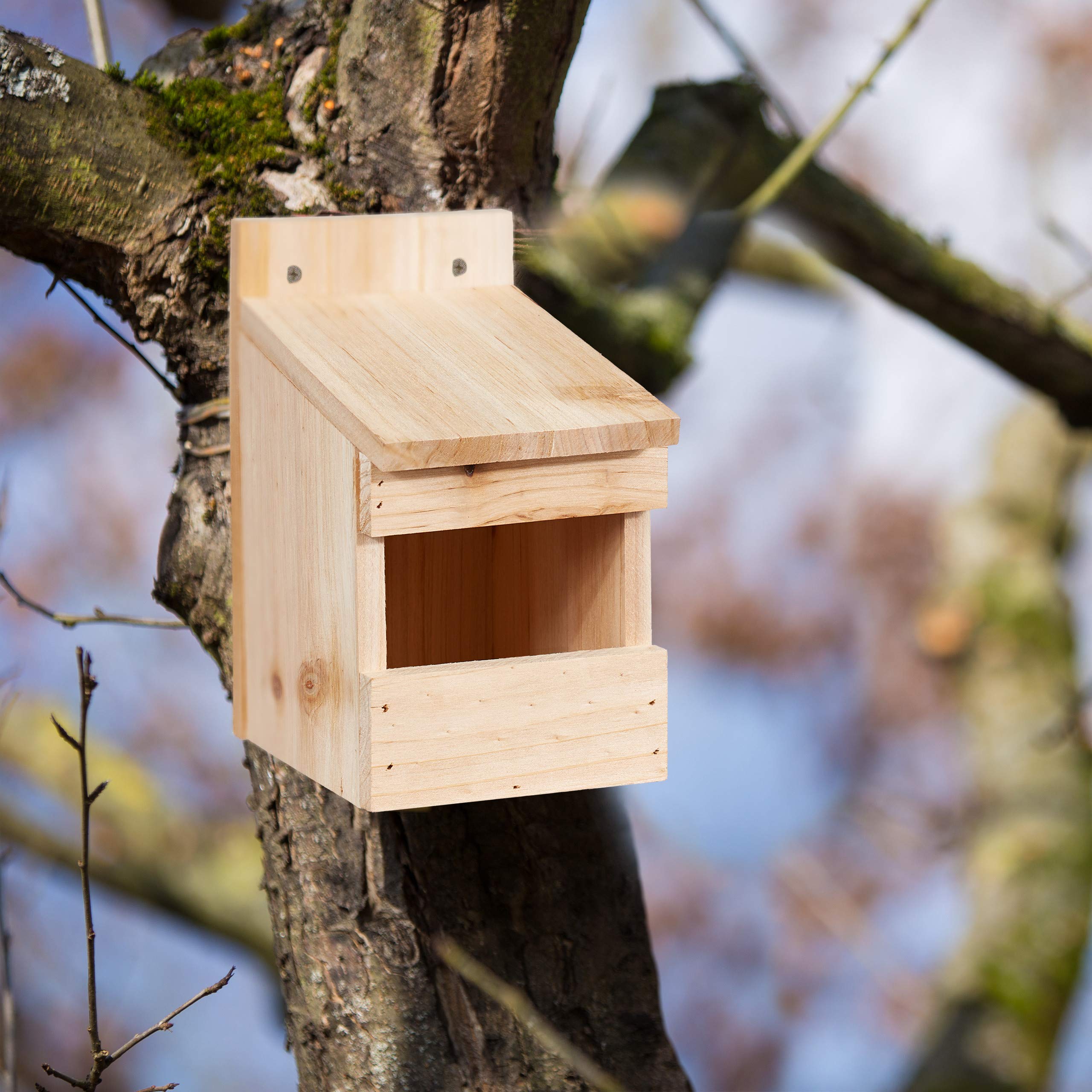 relaxdays-halbh-hle-nistkasten-20-x-12-x-15-5-cm-vogelkasten-holz-natur-f-r-amse image 5
