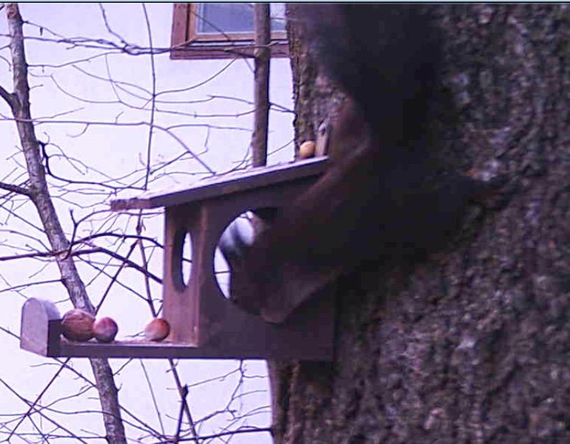 Hübsch am Balkon