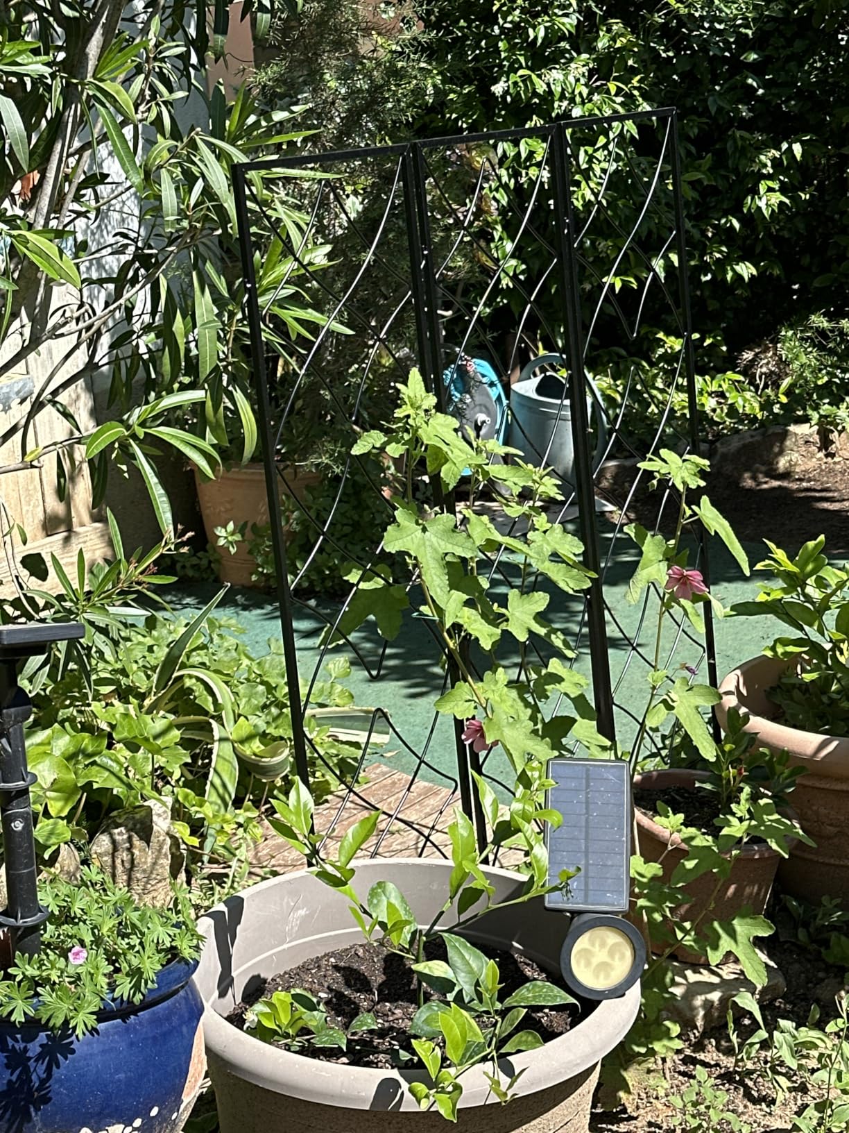 Kletterhilfe für Balkon