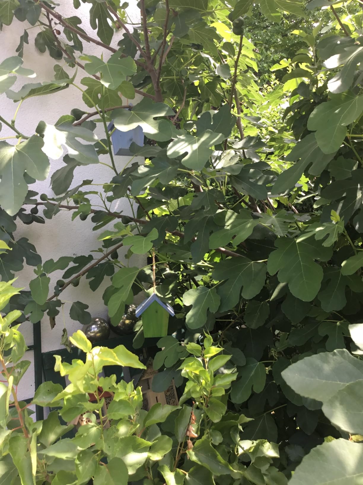 So ein hübscher Farbtupfer