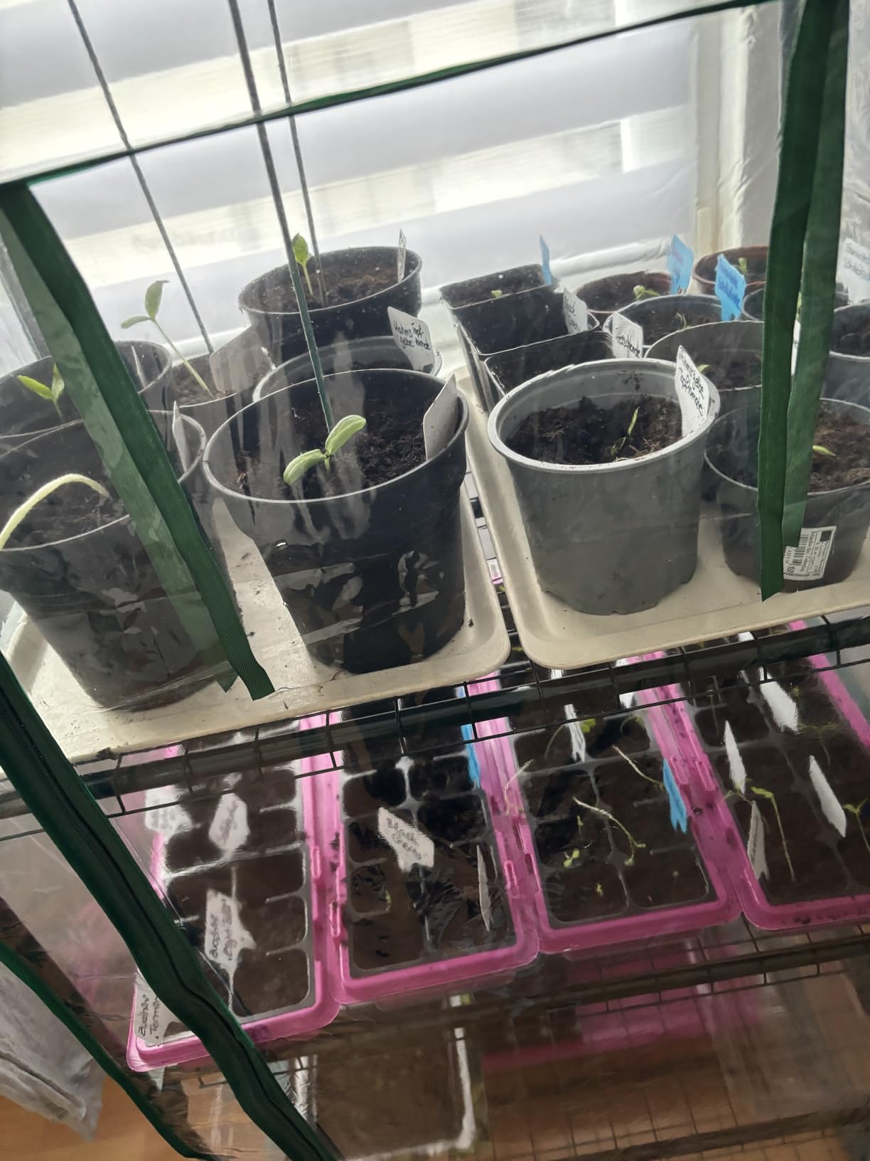 Balkon wird zum Mini-Garten