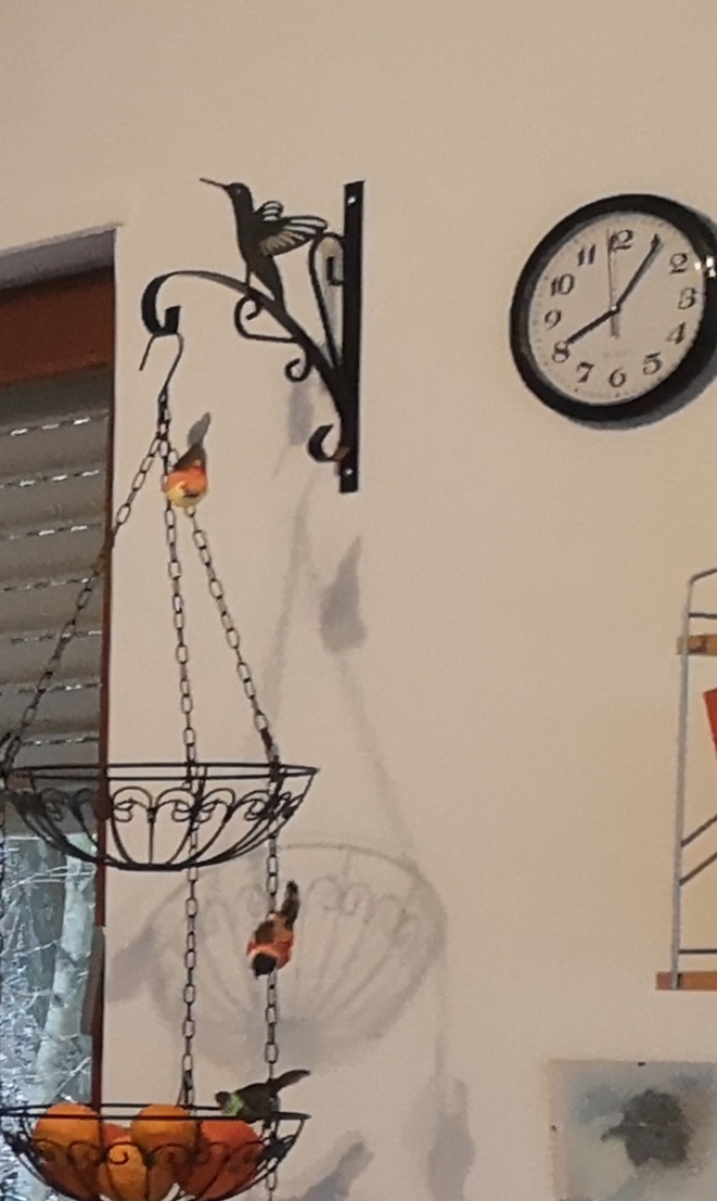 So hübsch auf dem Balkon
