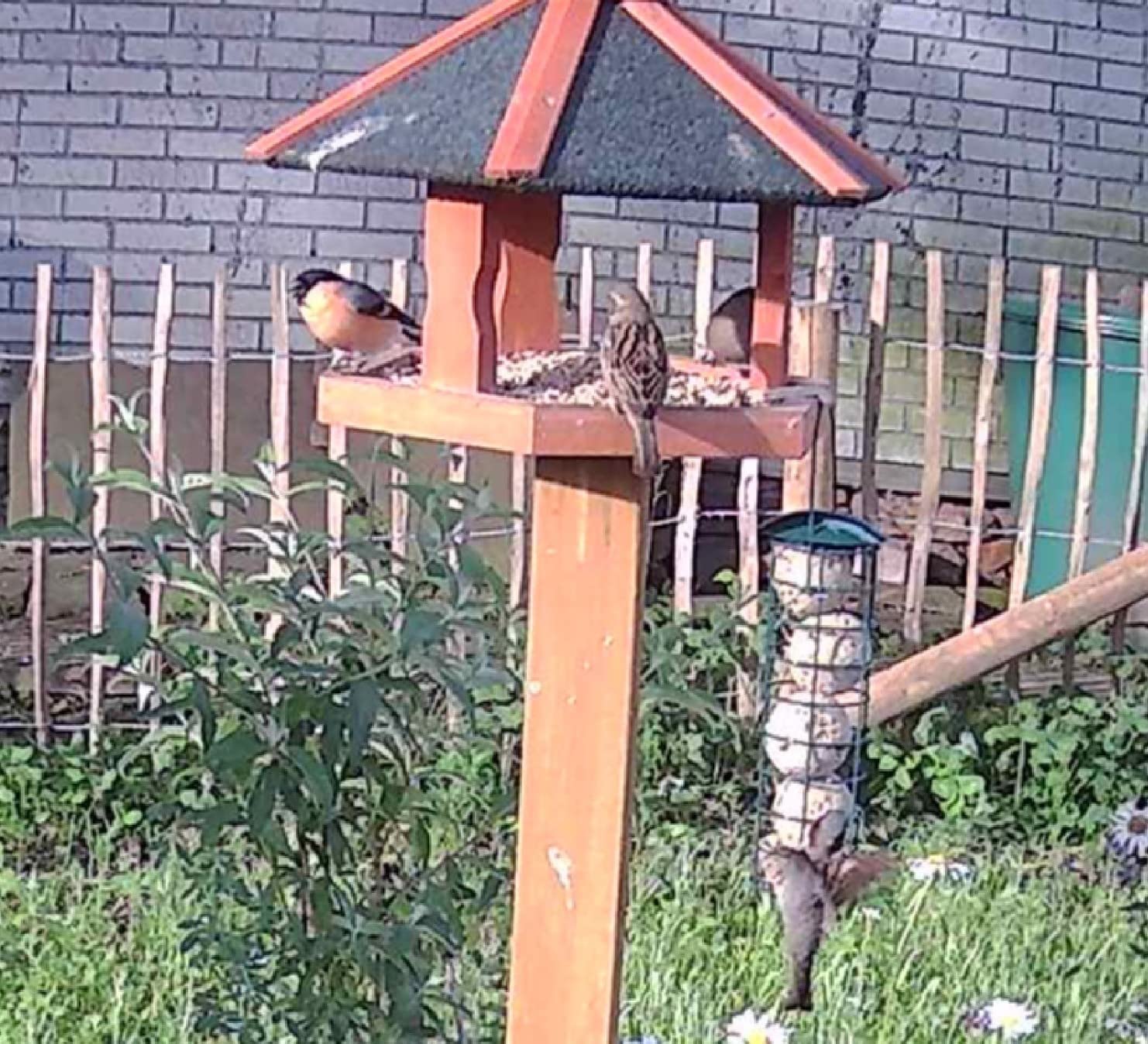 Schöne Futtersäule