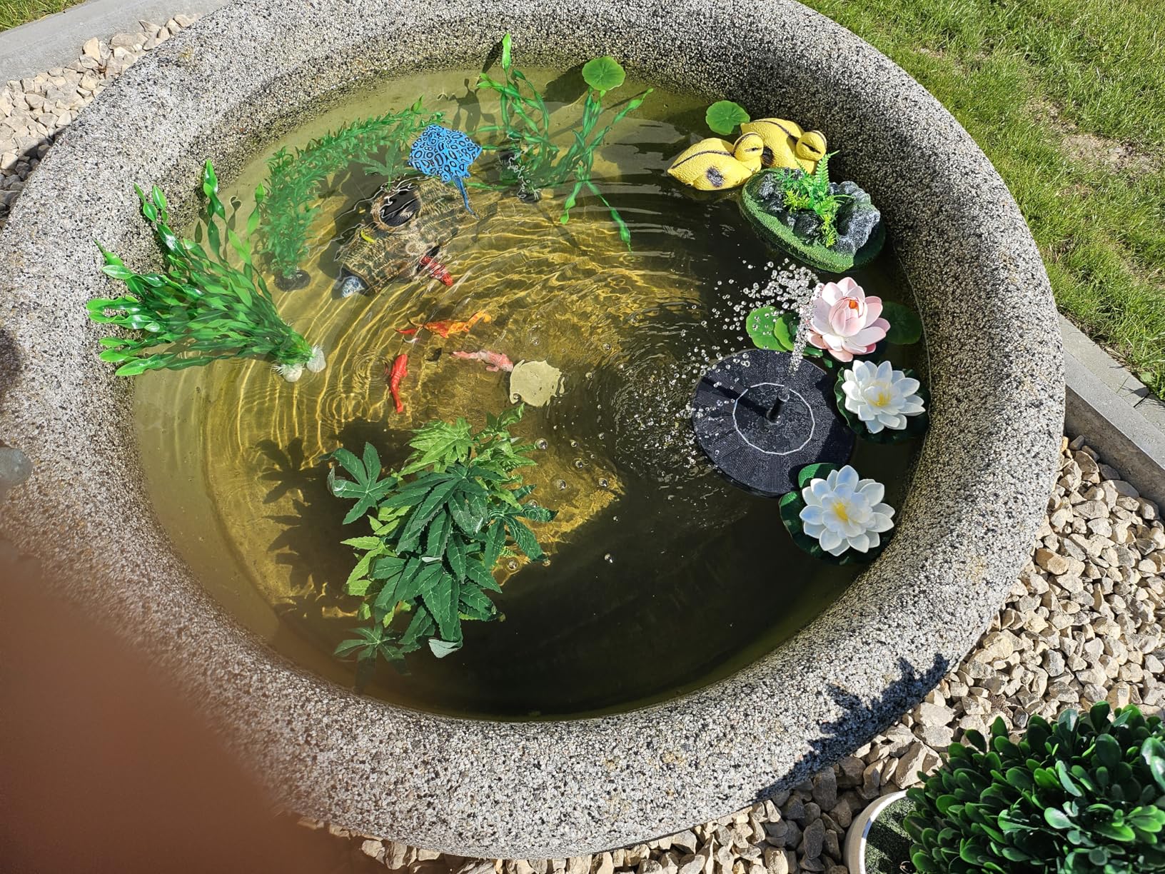 Schwimmen wirklich!