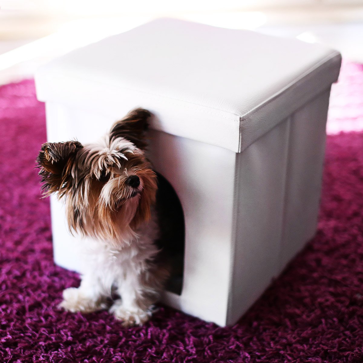 relaxdays-hundebox-sitzhocker-38x38x38-cm-wei-bis-300-kg image 2