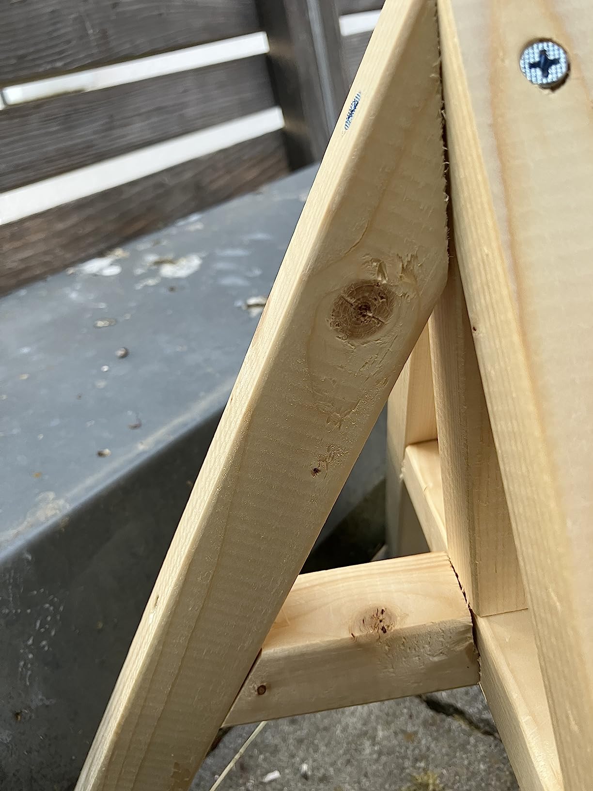 Bienen sind schon eingezogen
