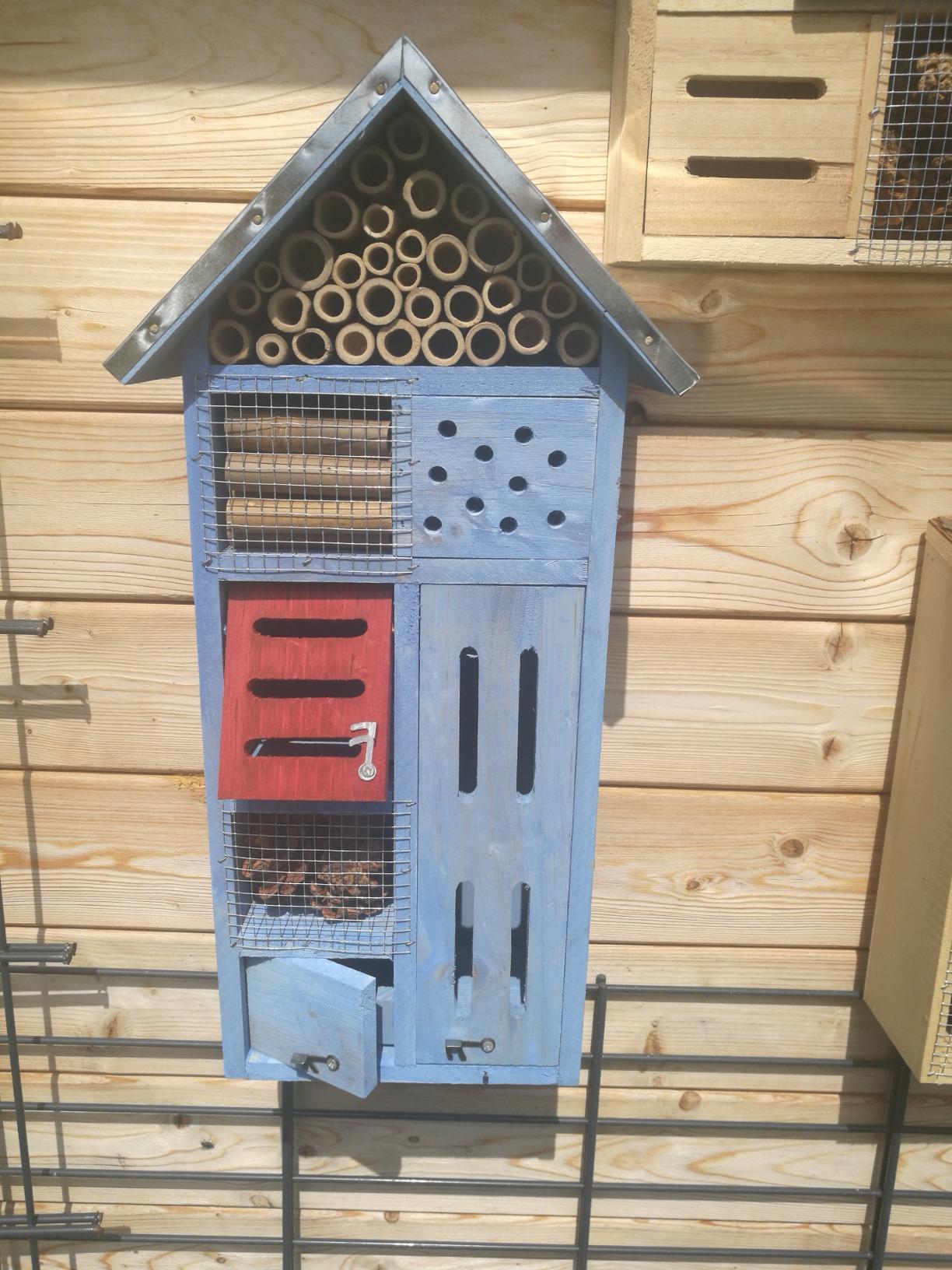 Bienen sind eingezogen