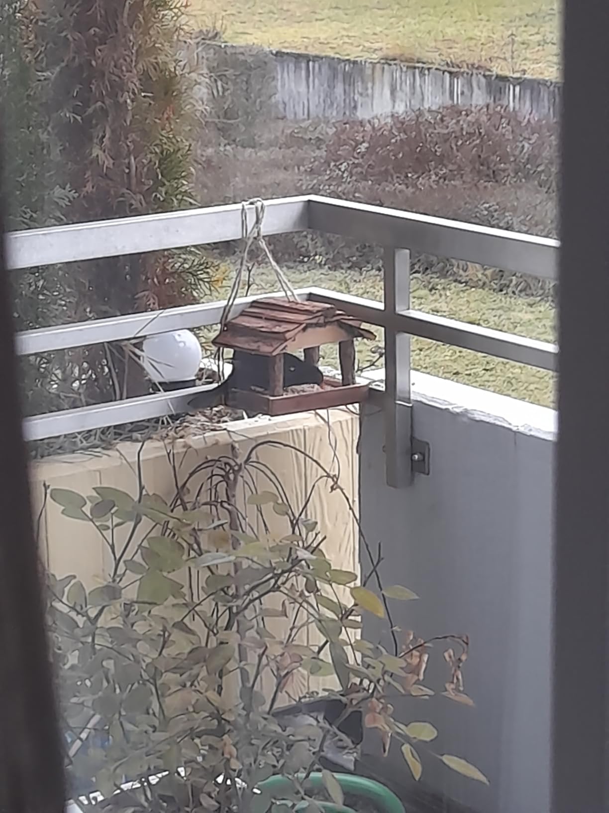 Tolles Naturerlebnis für Kinder