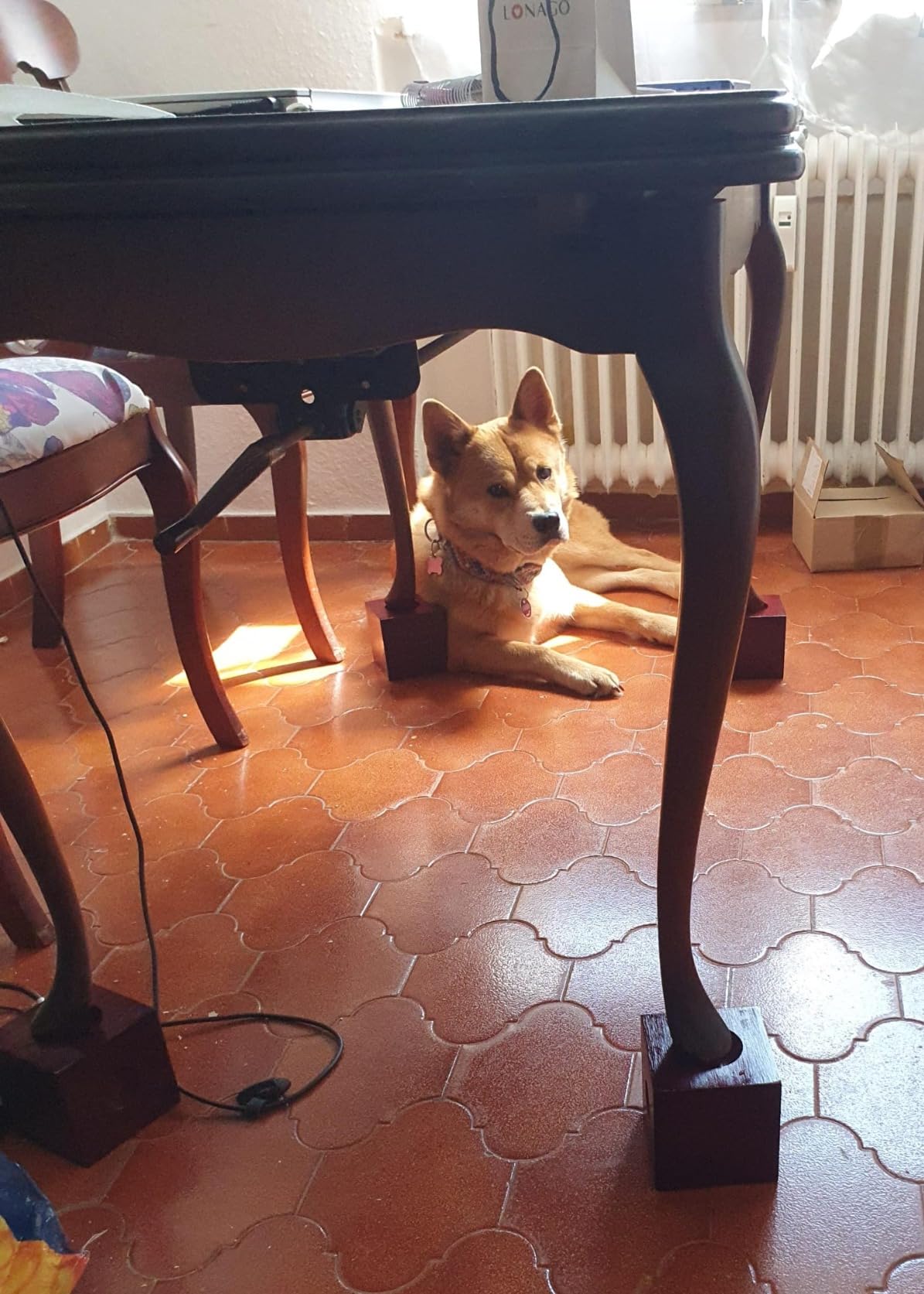 Rücken sagt danke