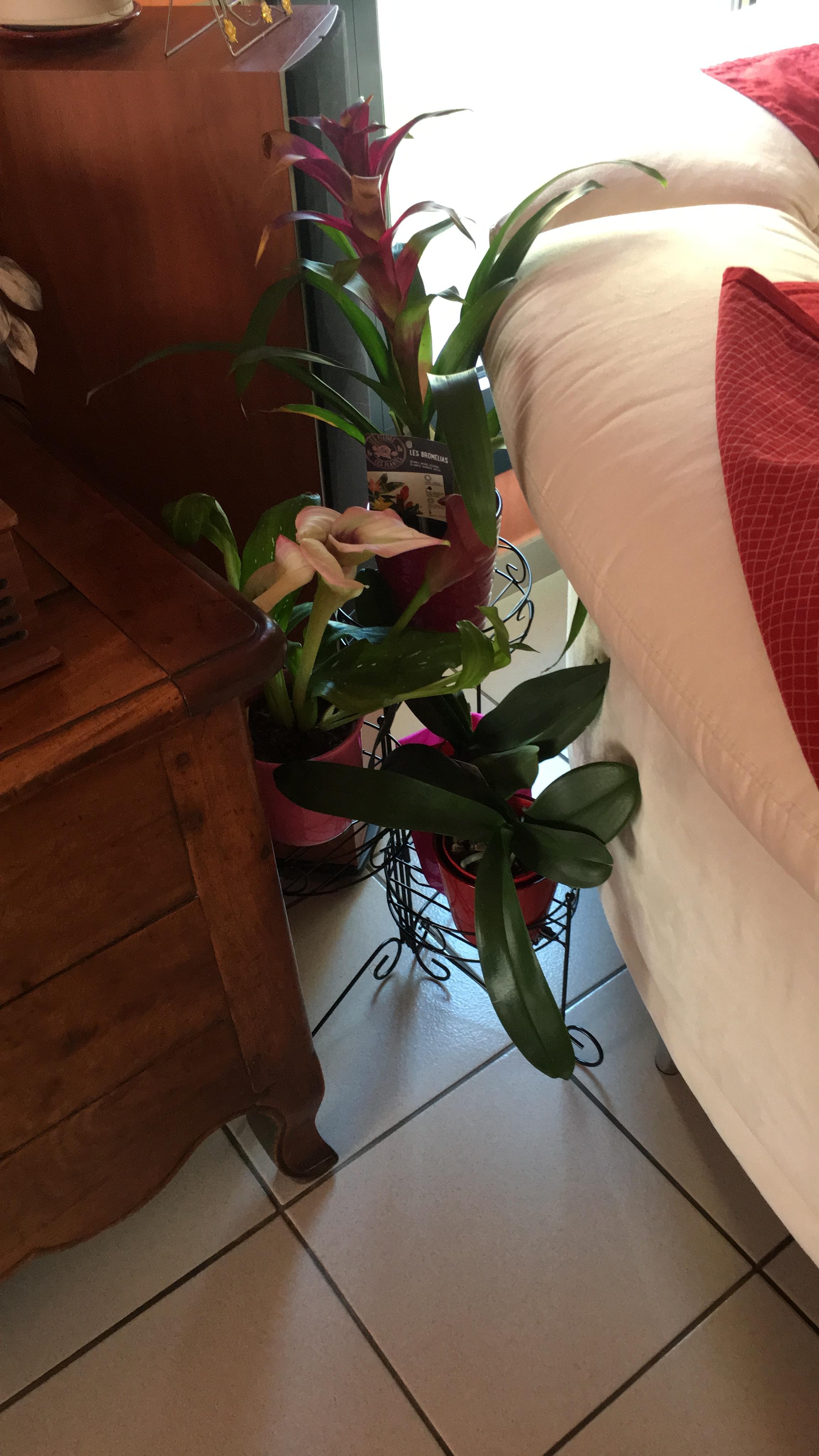 Perfekt für kleine Ecke