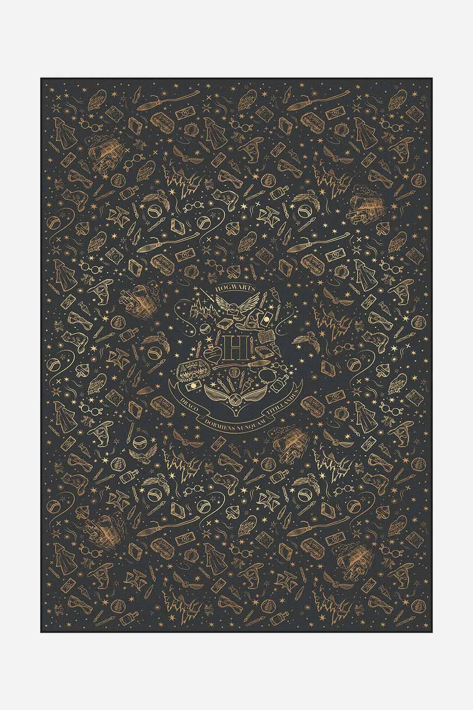 teppana-harry-potter-hogwarts-gold-teppich-lizenz-teppich image 1