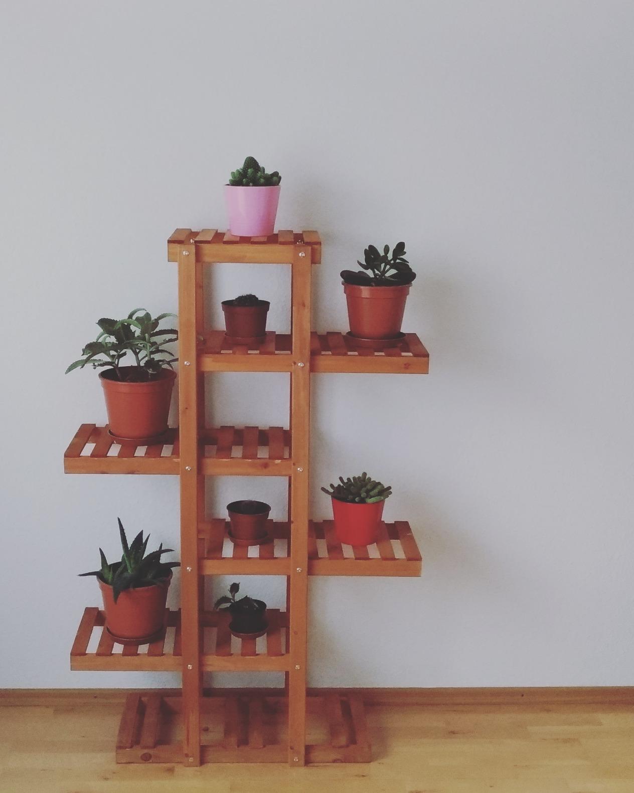 Perfekt fürs Wohnzimmer