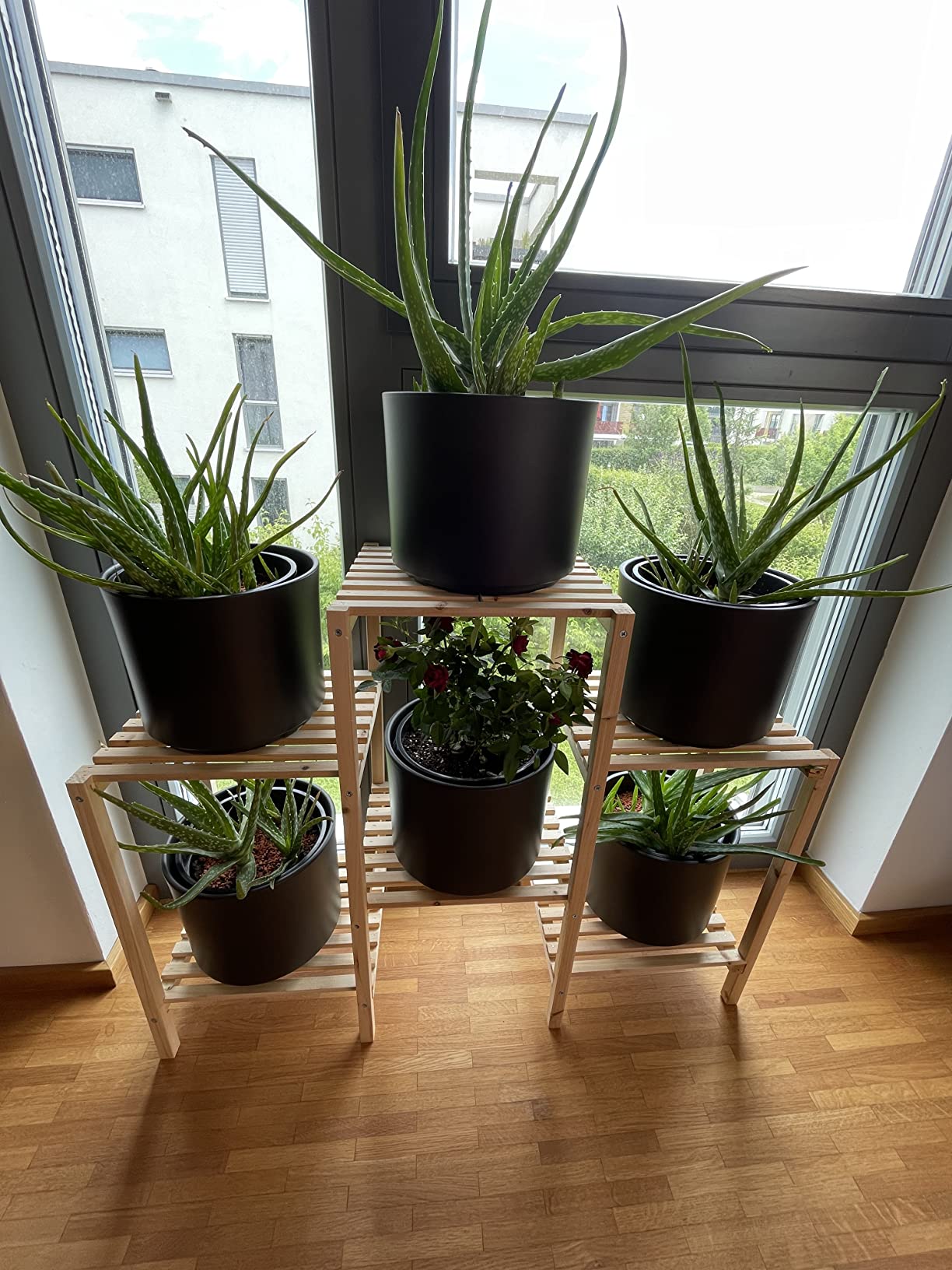 Perfekt für meine Kräuter