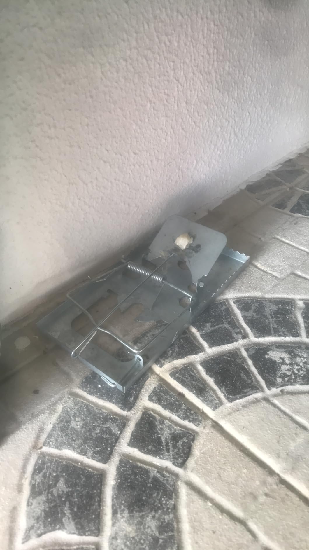 Endlich Ruhe im Schuppen