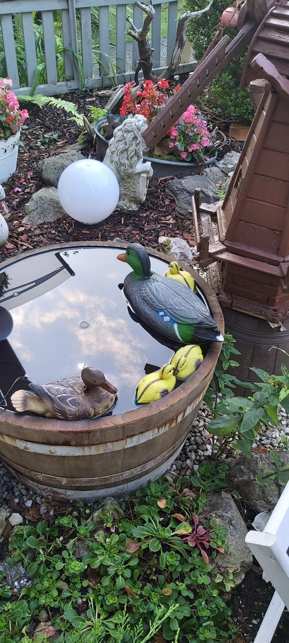 Hit auf dem Pool