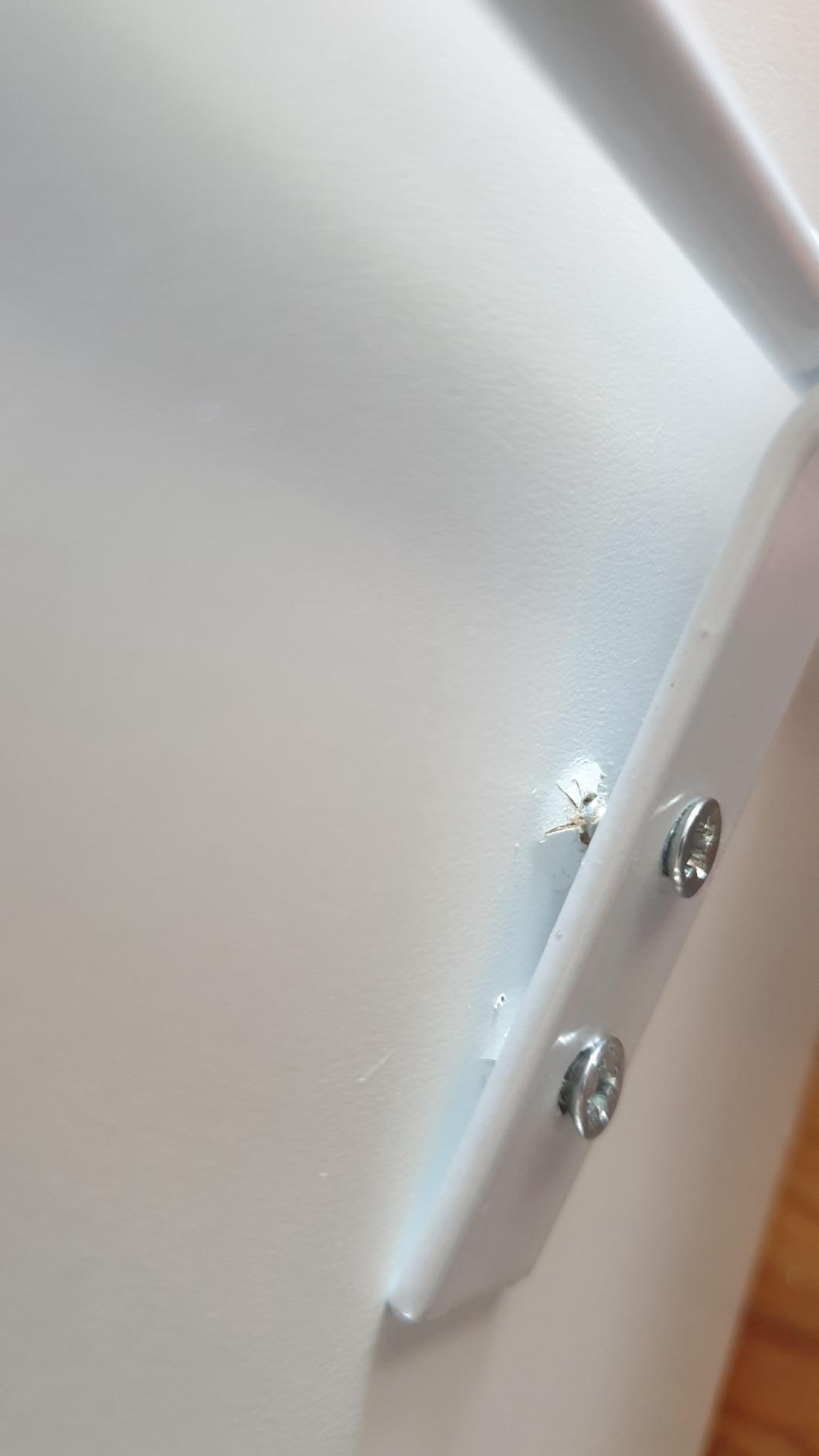 Toller Hingucker im Kinderzimmer