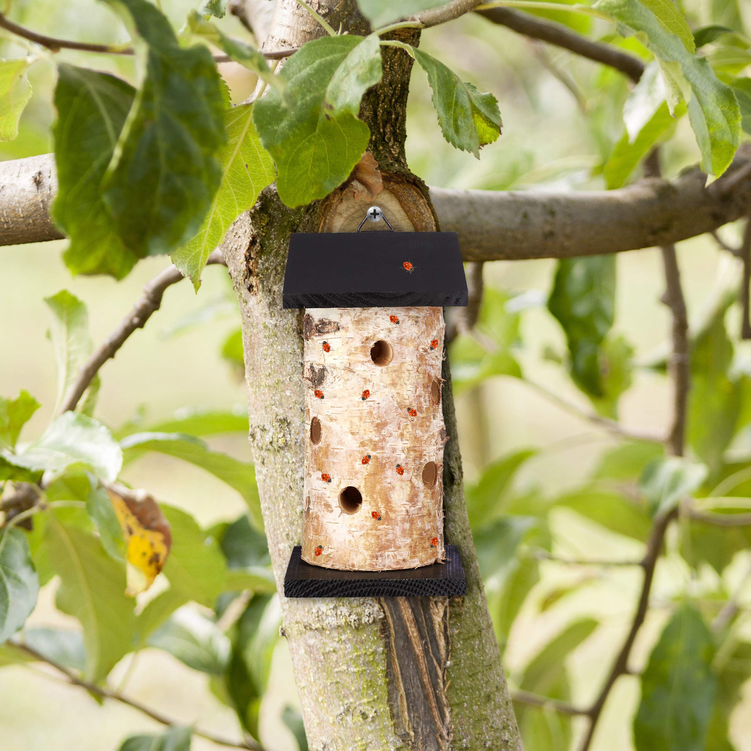 relaxdays-marienk-ferhaus-insektenhotel-zum-aufh-ngen-20-5-x-12-x-12-cm-natur-sc image 2