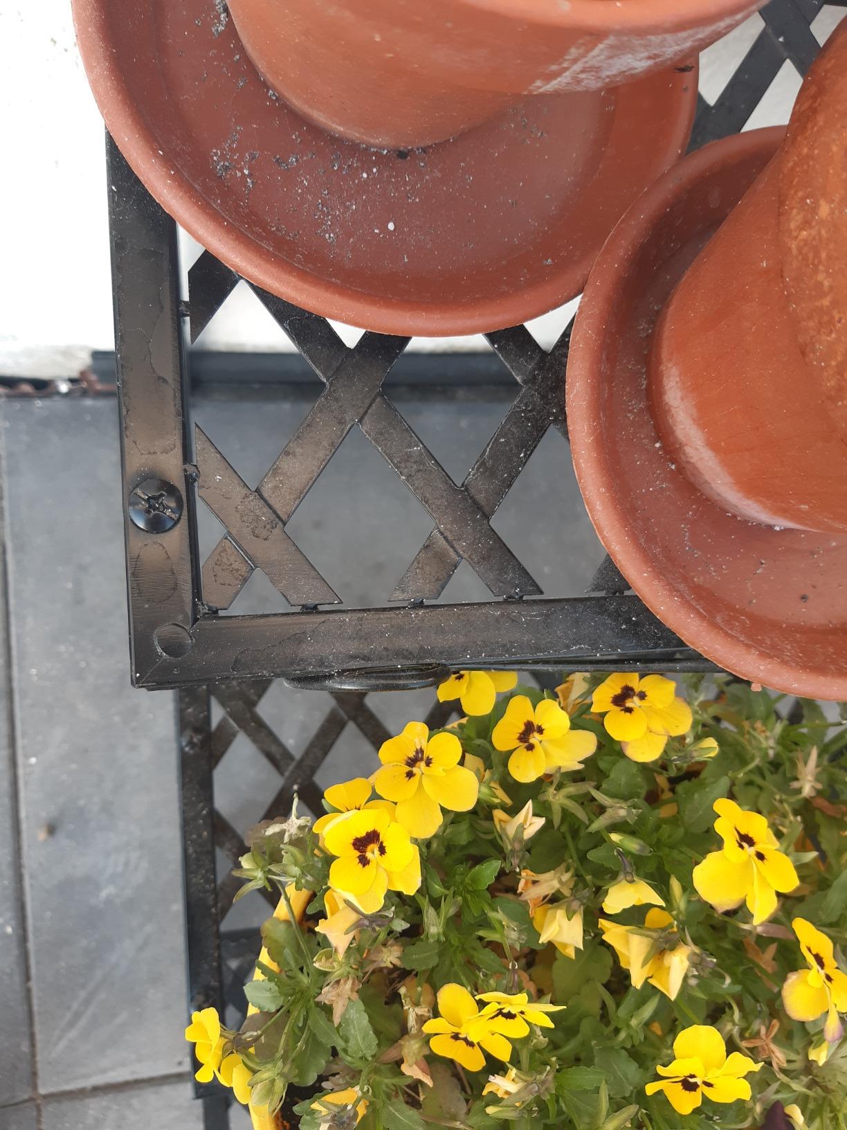 Überwintert draußen