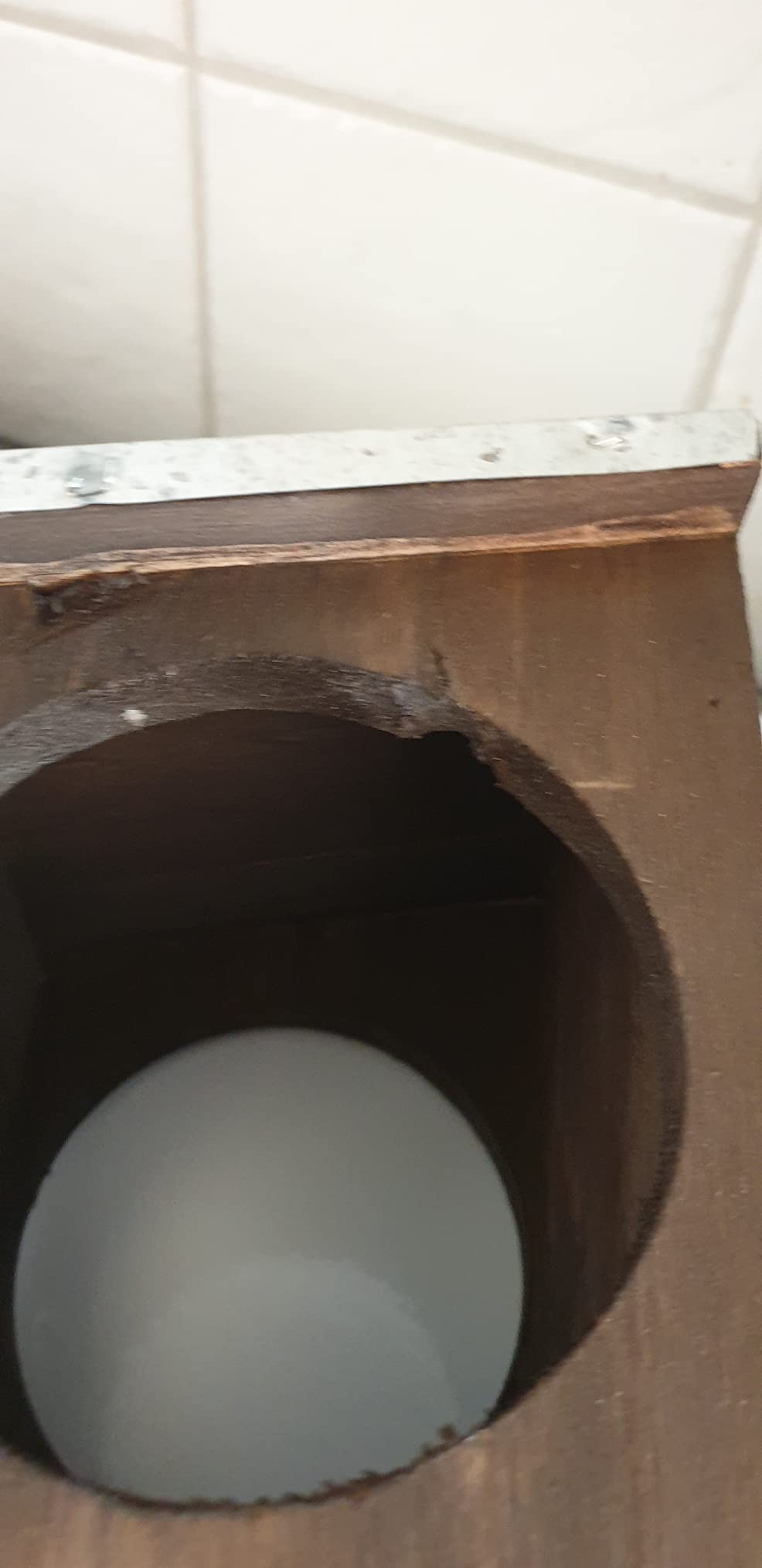 Toll für Kinder
