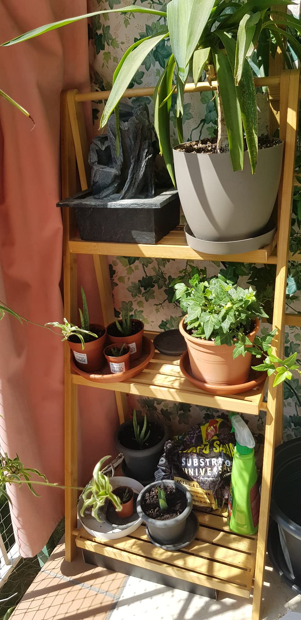 Meine Orchideen lieben es