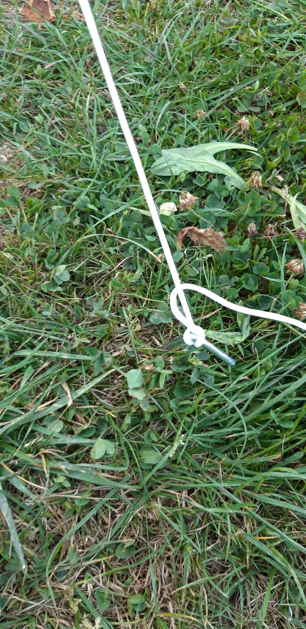 Schöner Sichtschutz