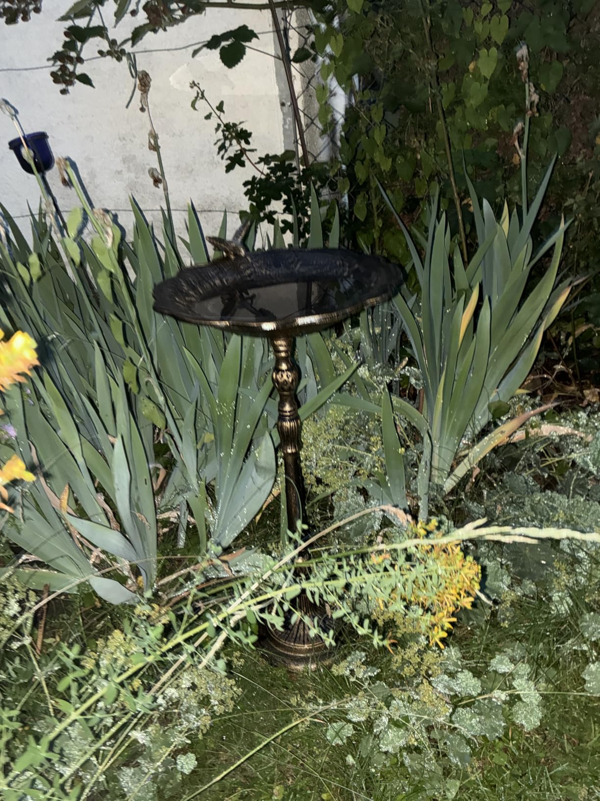 Vögel lieben sie