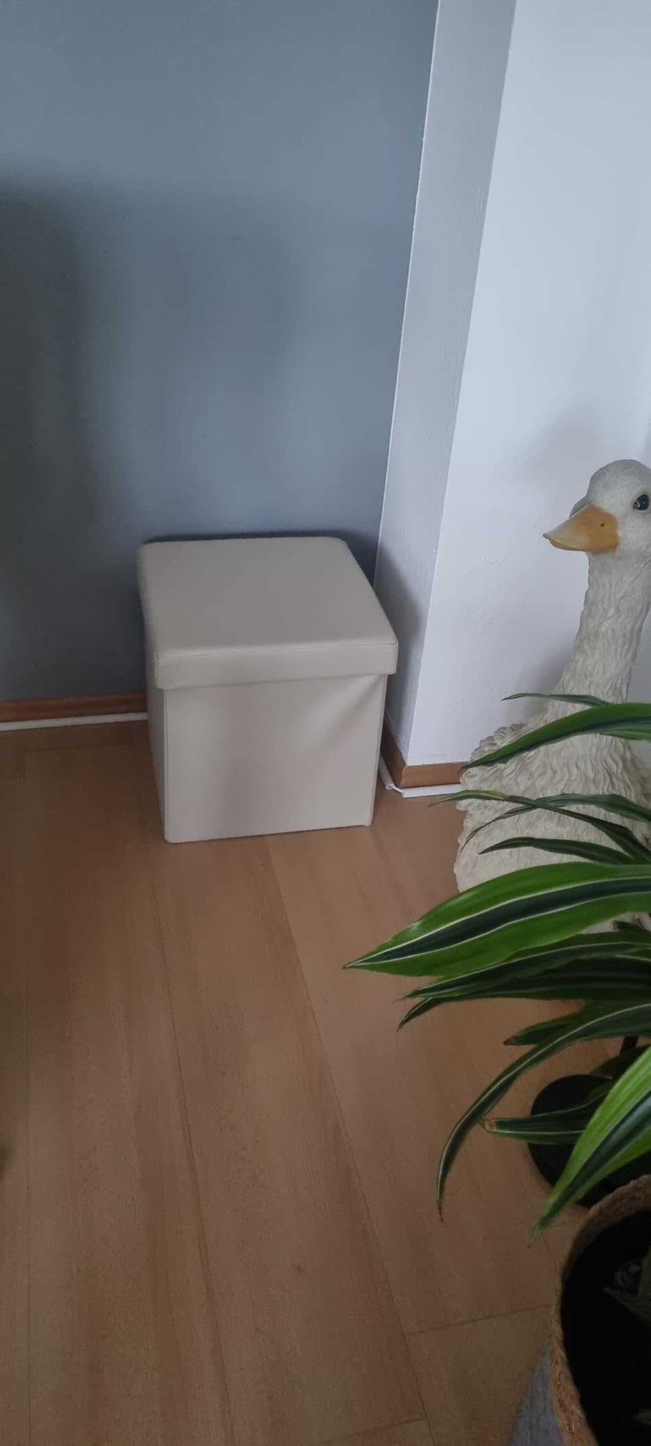 Praktisch und sieht gut aus