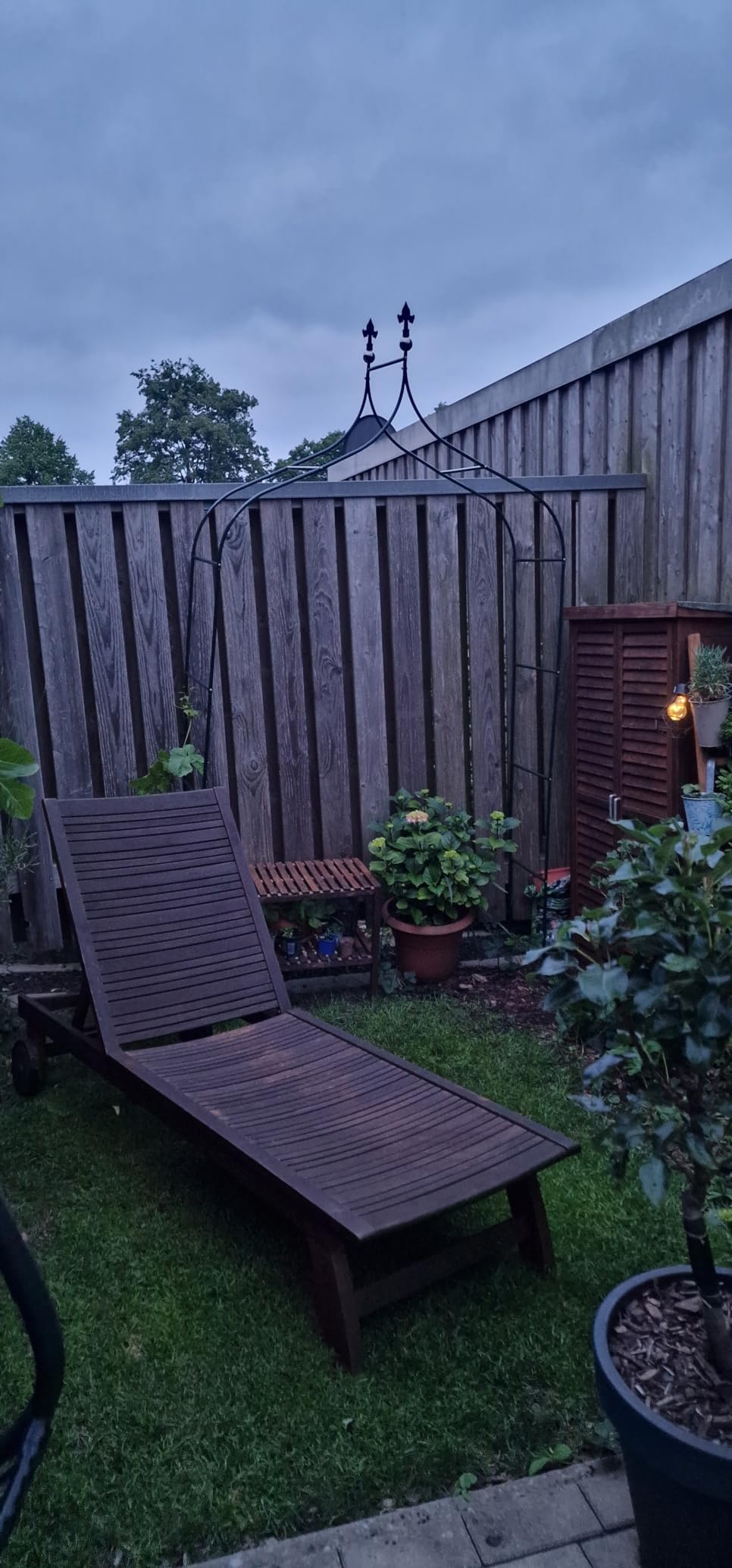 Wunderschön im Garten