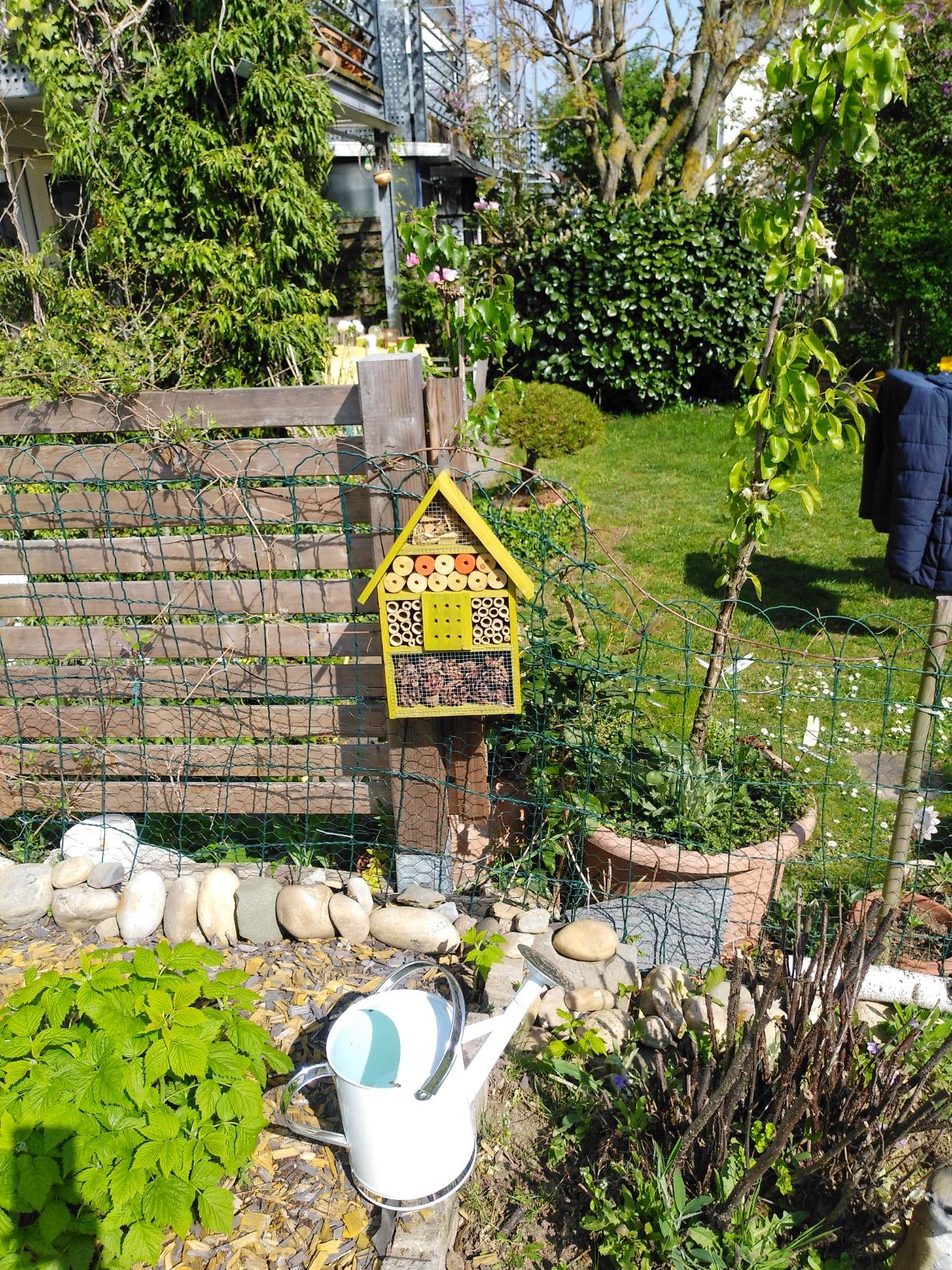 Bienen sind eingezogen