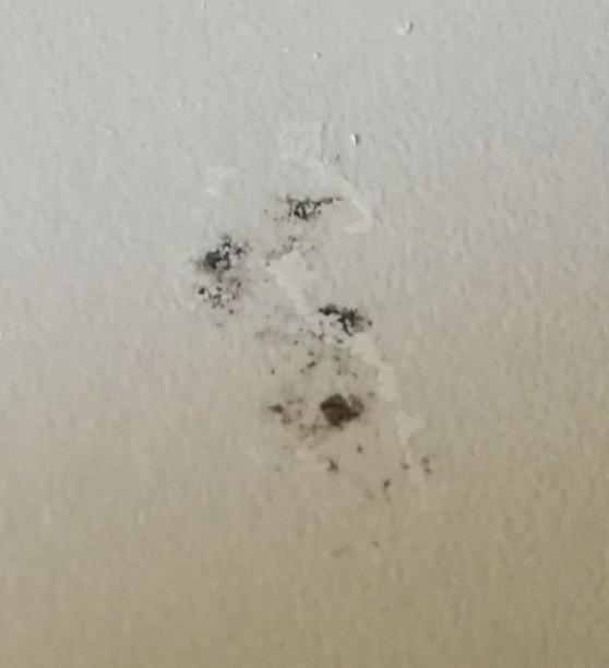 Super für die Speisekammer