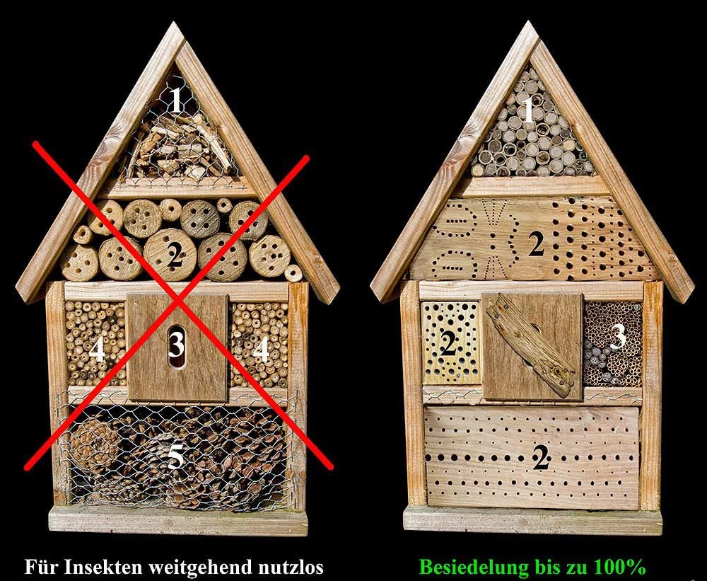 Bienen sind schon eingezogen