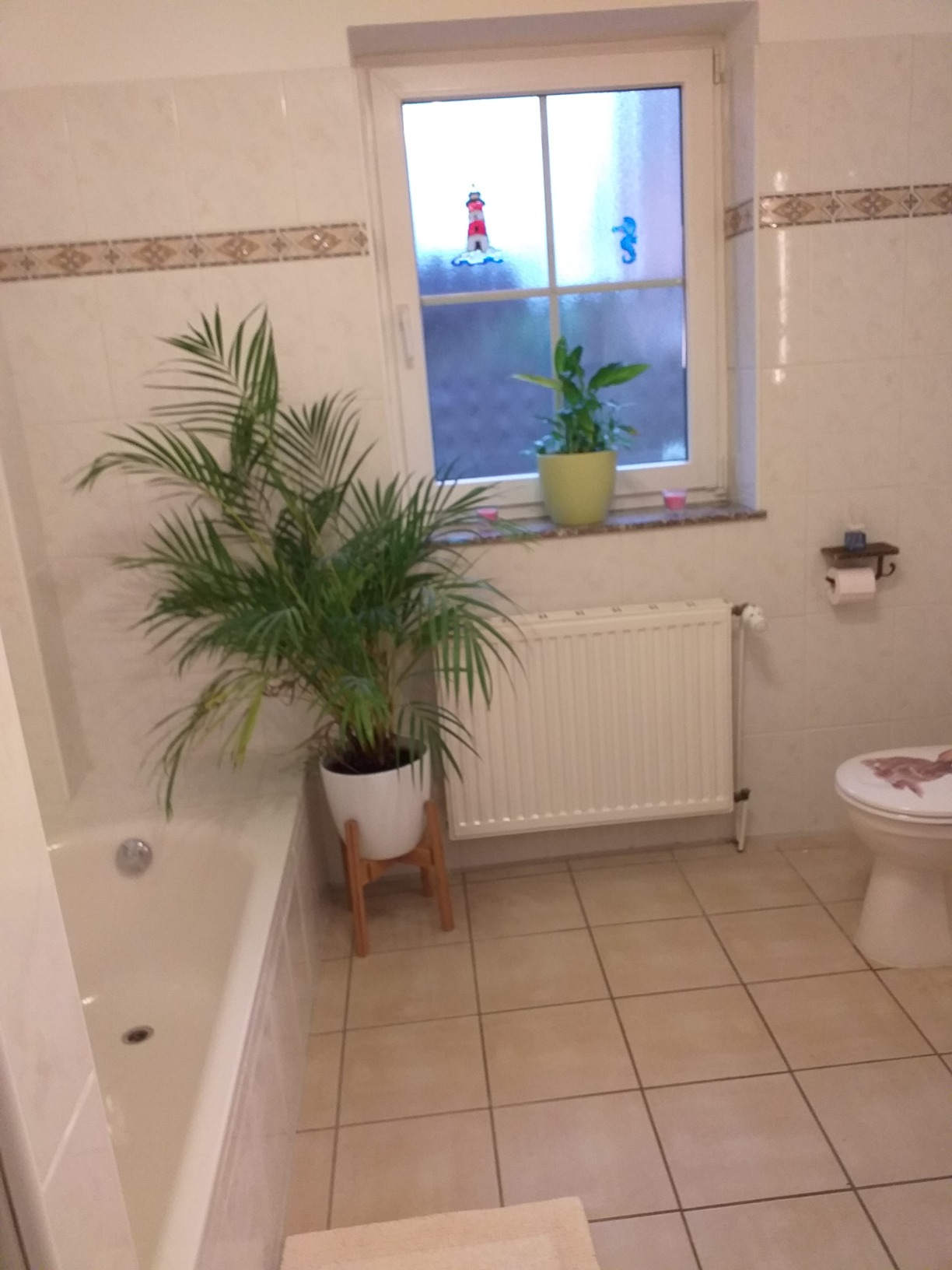 Gute Höhe für Fensterbank