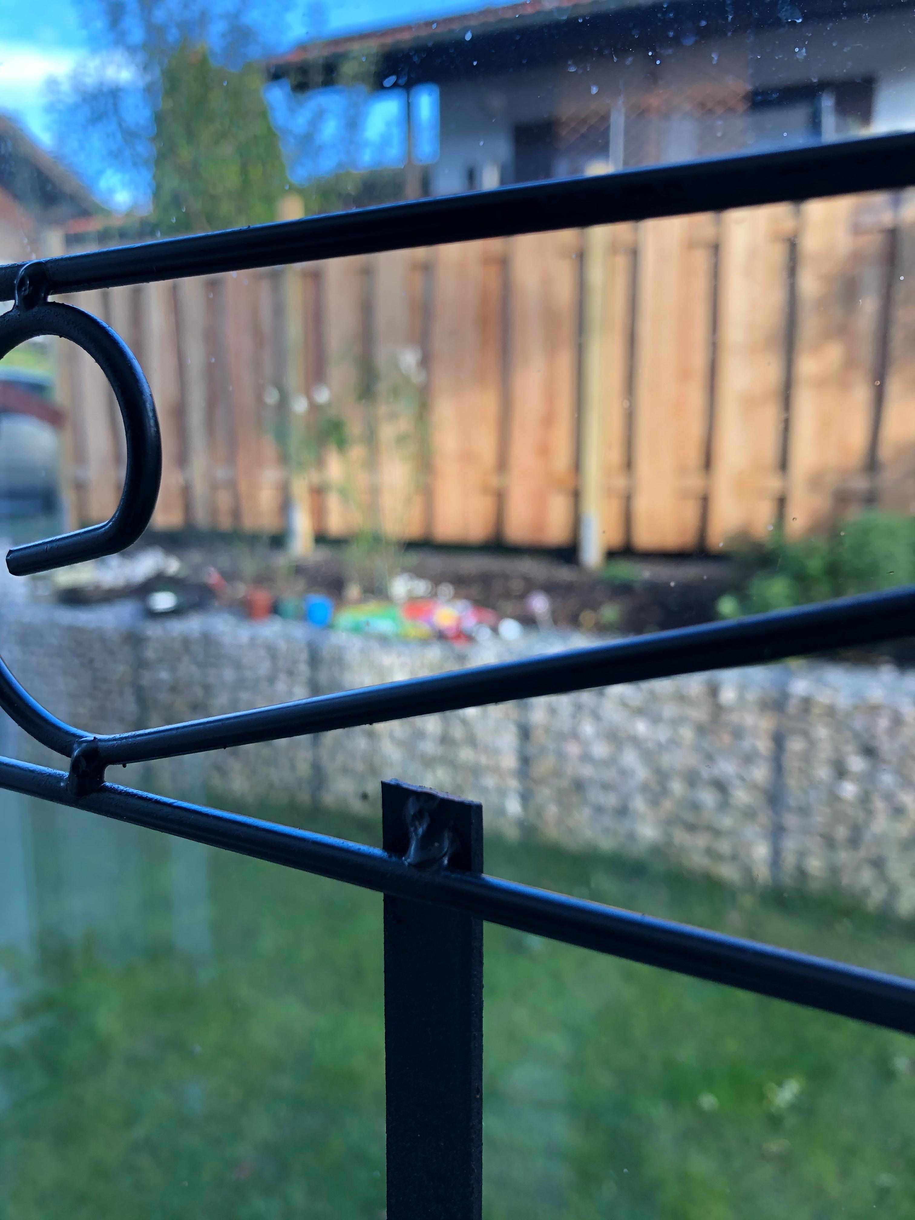 Sieht aus wie vom Floristen