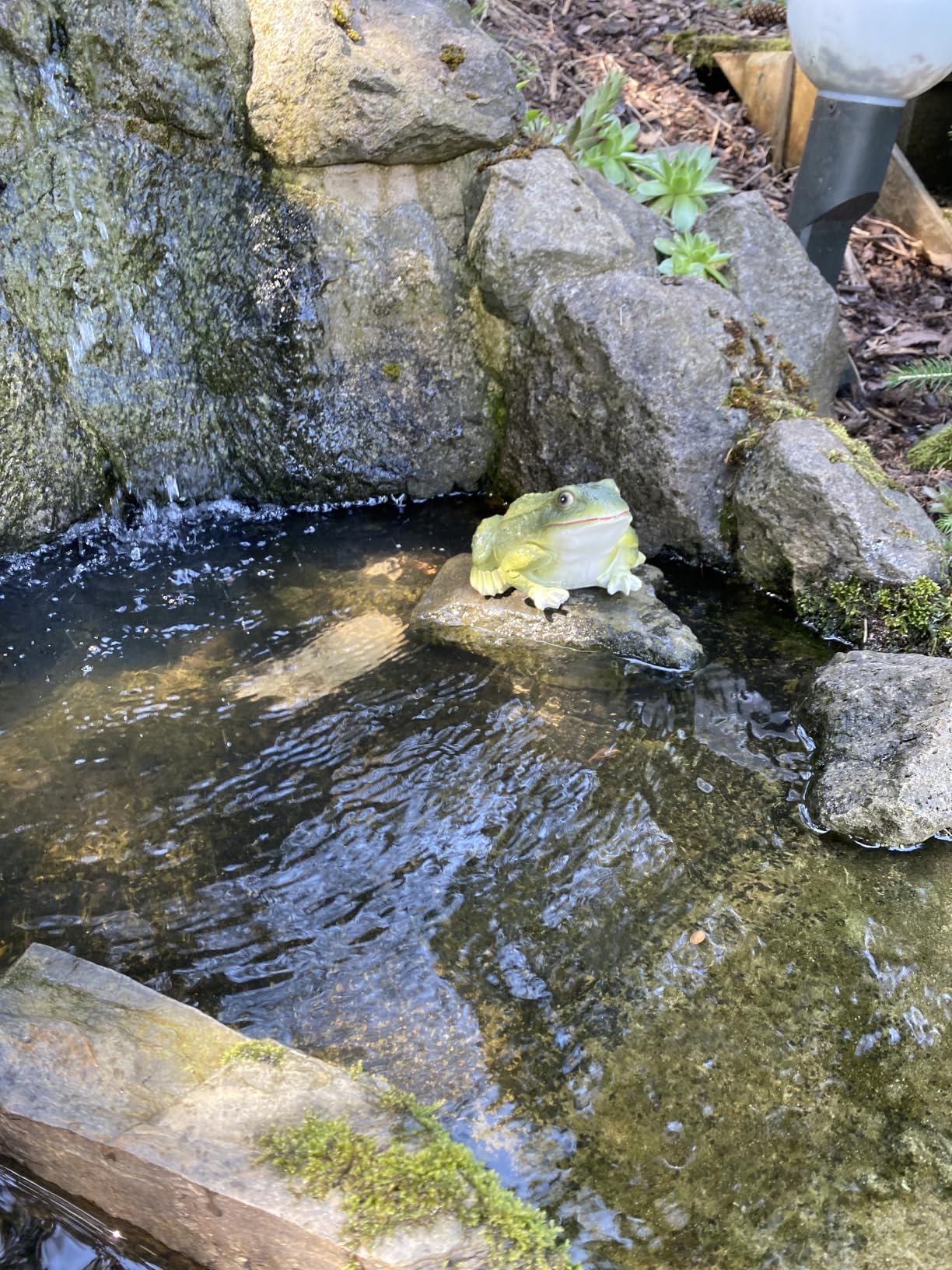 Total niedlich am Teich