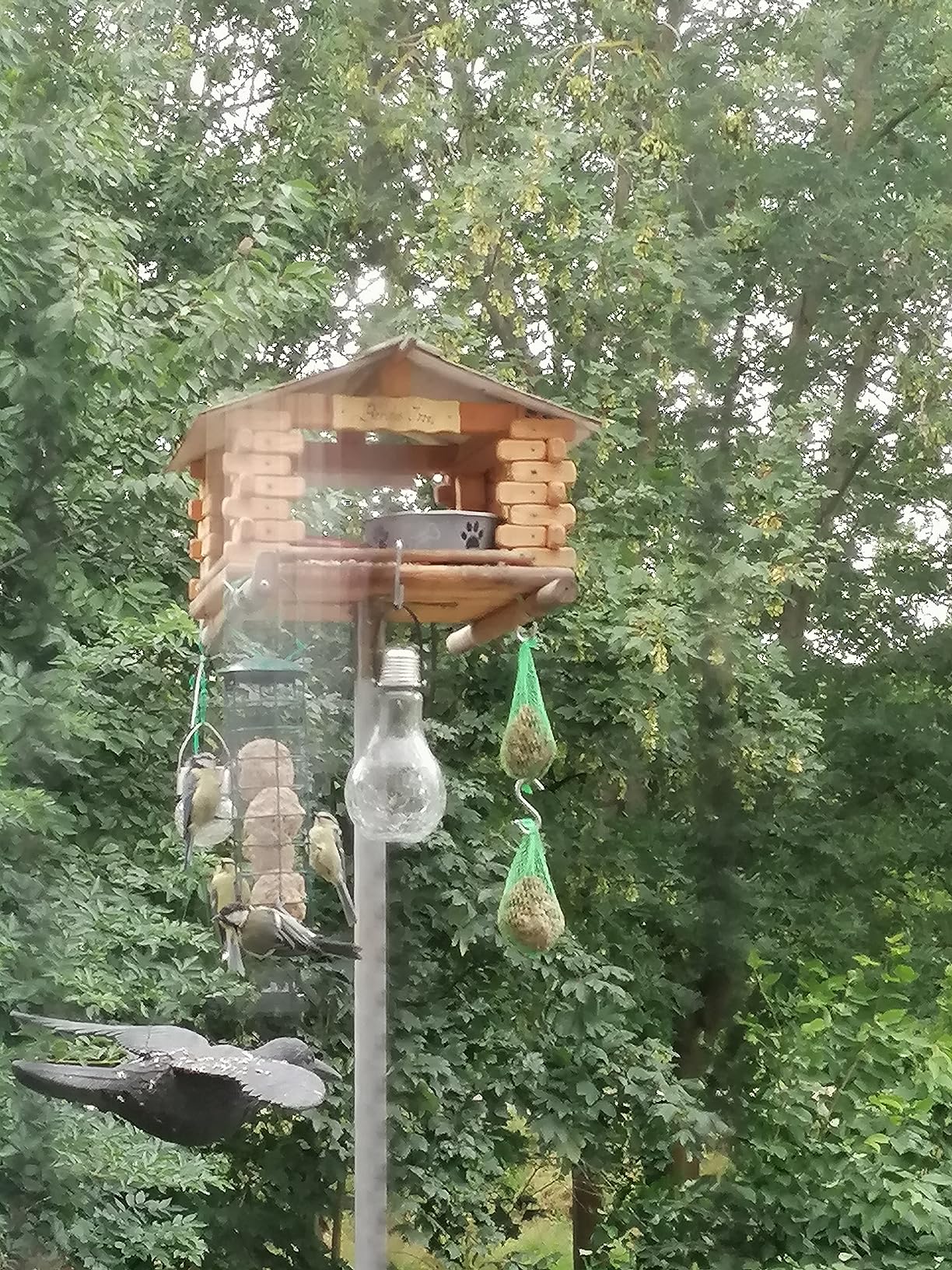 Endlich saubere Fütterung ohne Netz