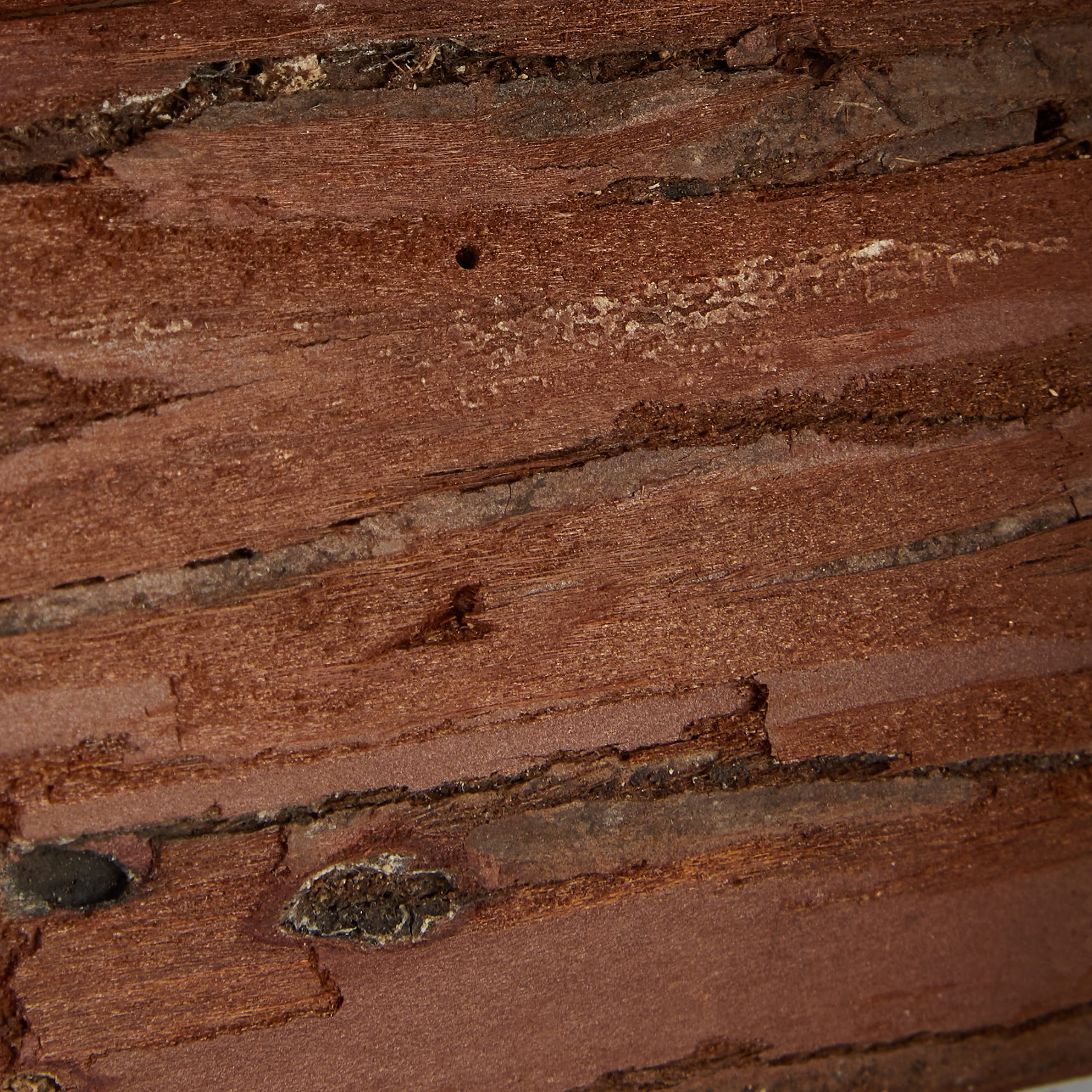 relaxdays-mini-vogelhaus-holz-unbehandelt-natur-deko image 7