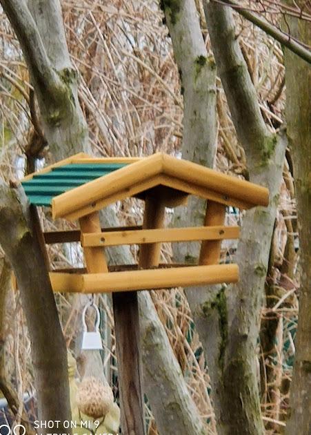 Leider Risse im Holz