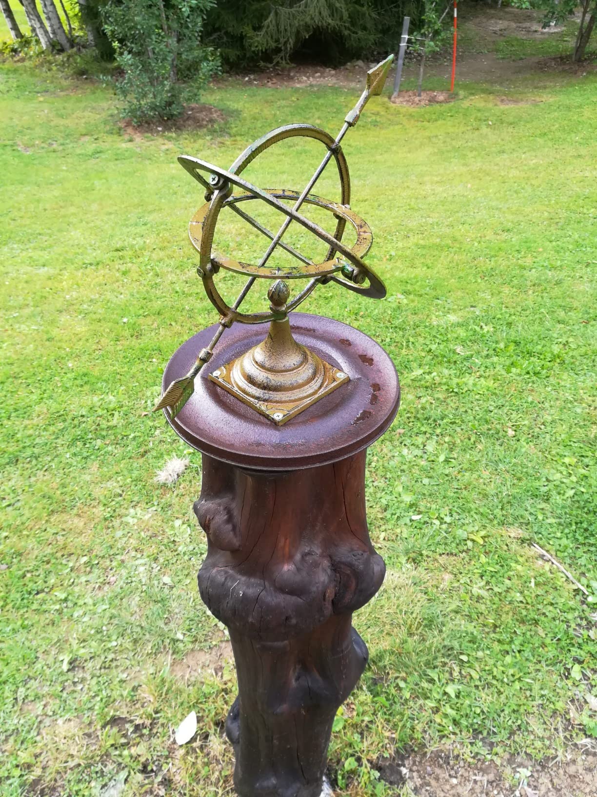 Wunderschön im Beet