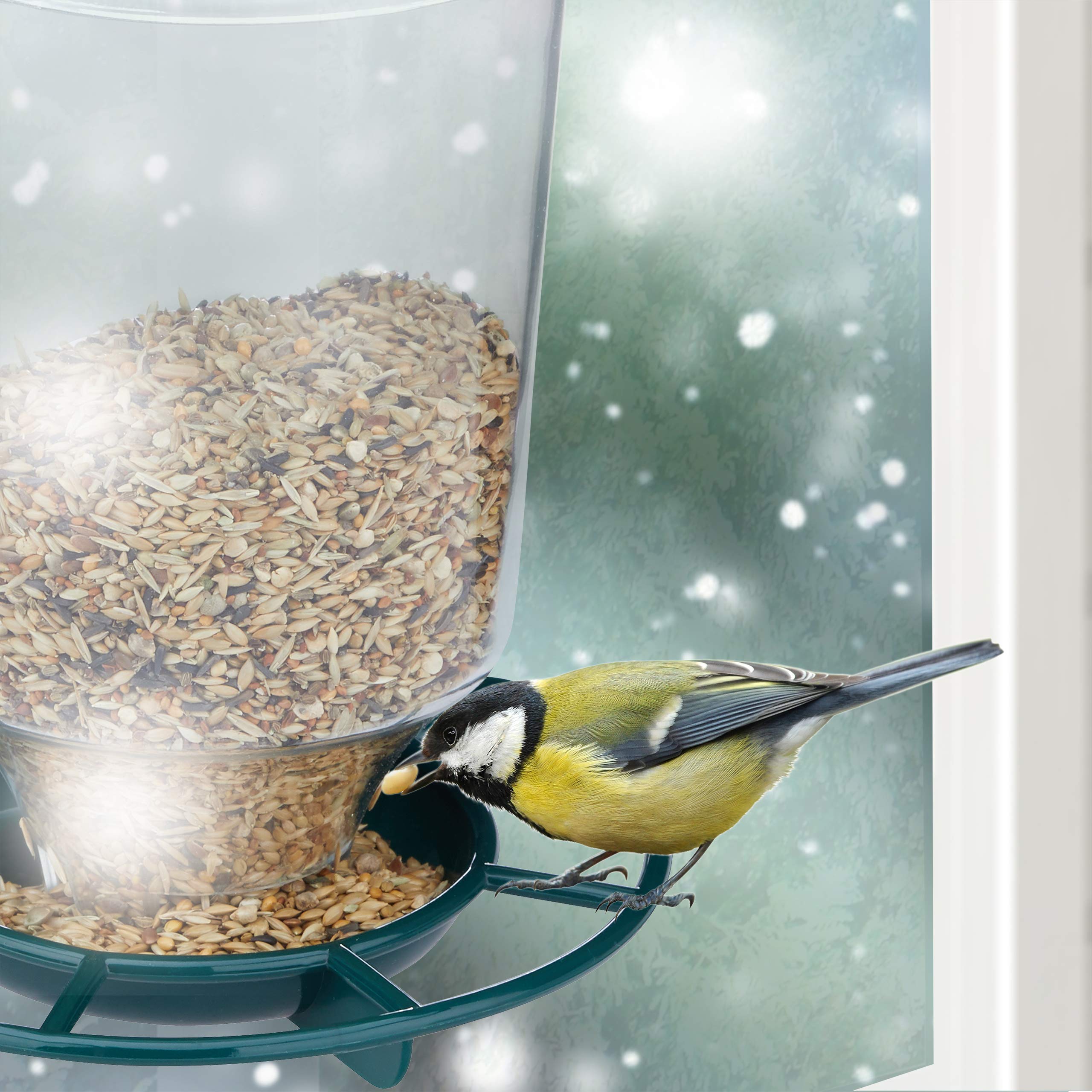 relaxdays-vogelfutterstation-saugnapf-transparent-gr-n image 3