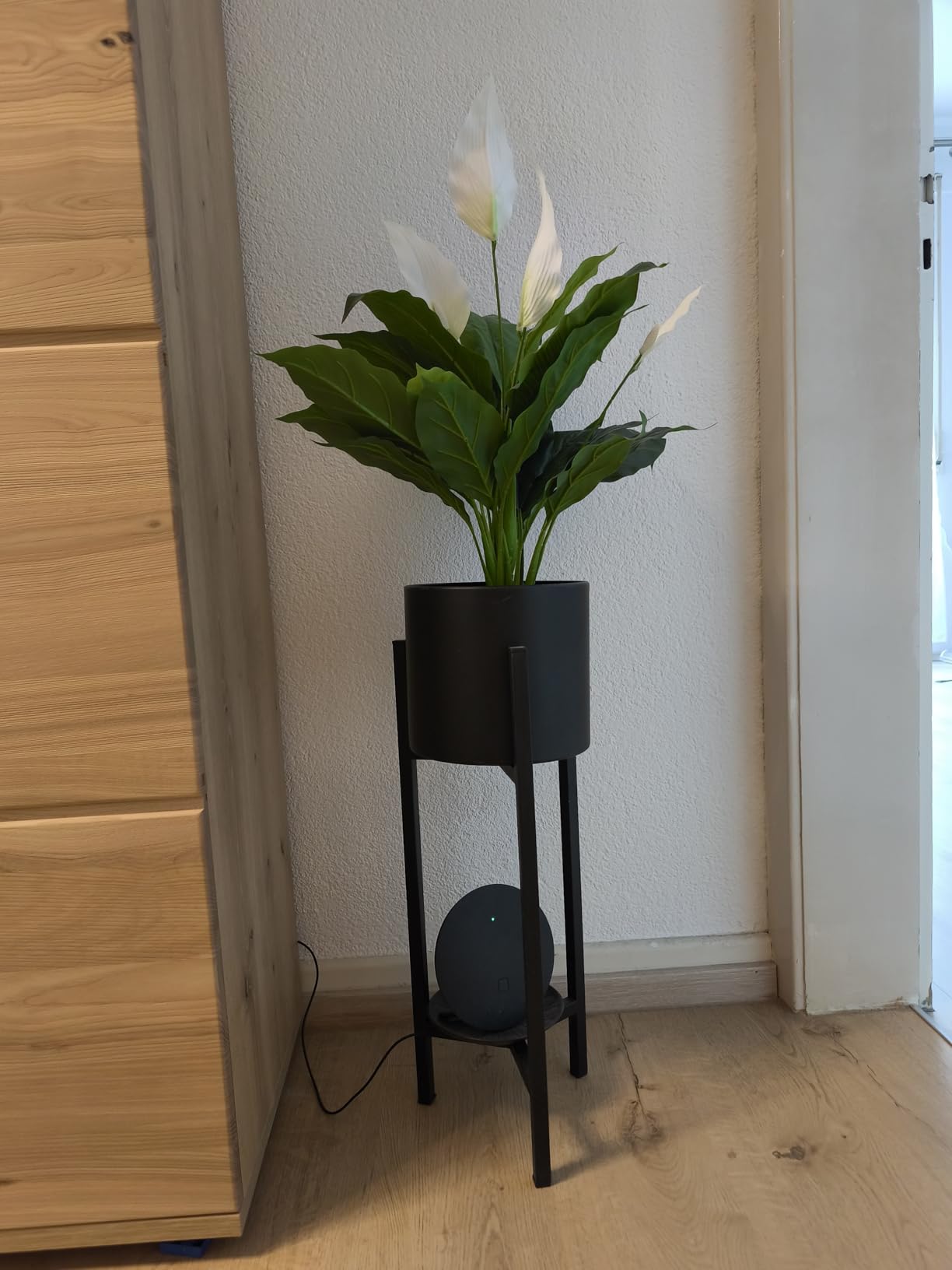 Sieht super aus im Wohnzimmer