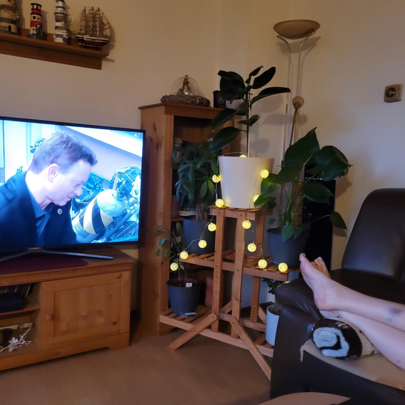 Hübsch, aber Pflege nötig