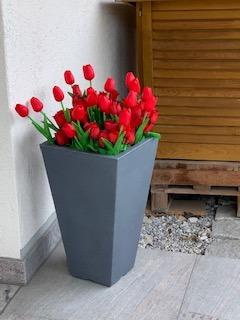 Gute Deko-Rosen