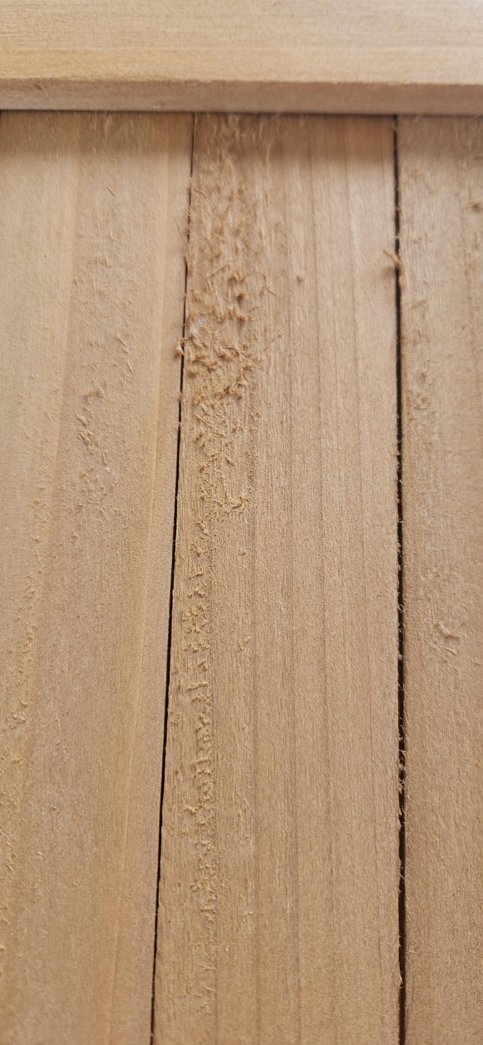 Schöner Sichtschutz für den Balkon