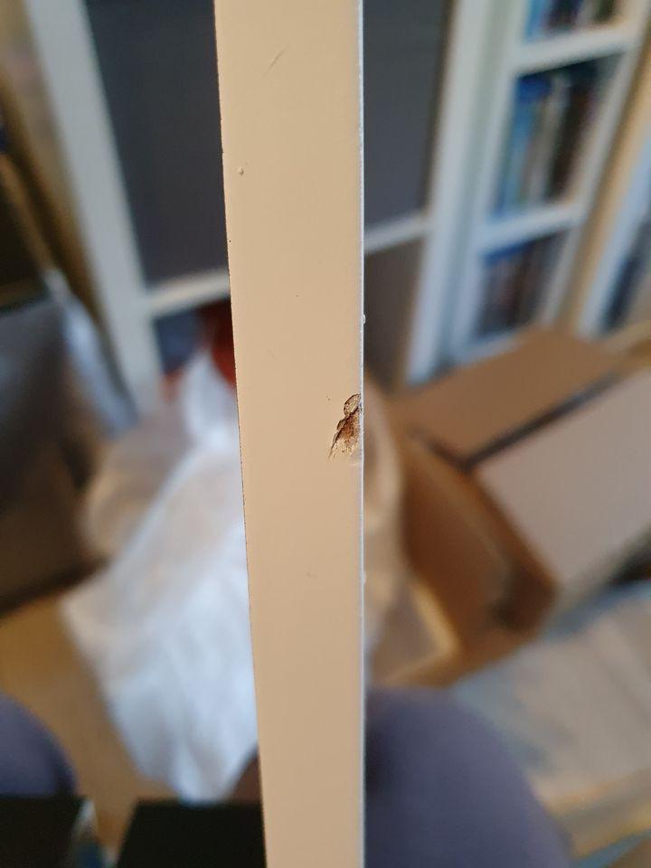 Tolle Optik