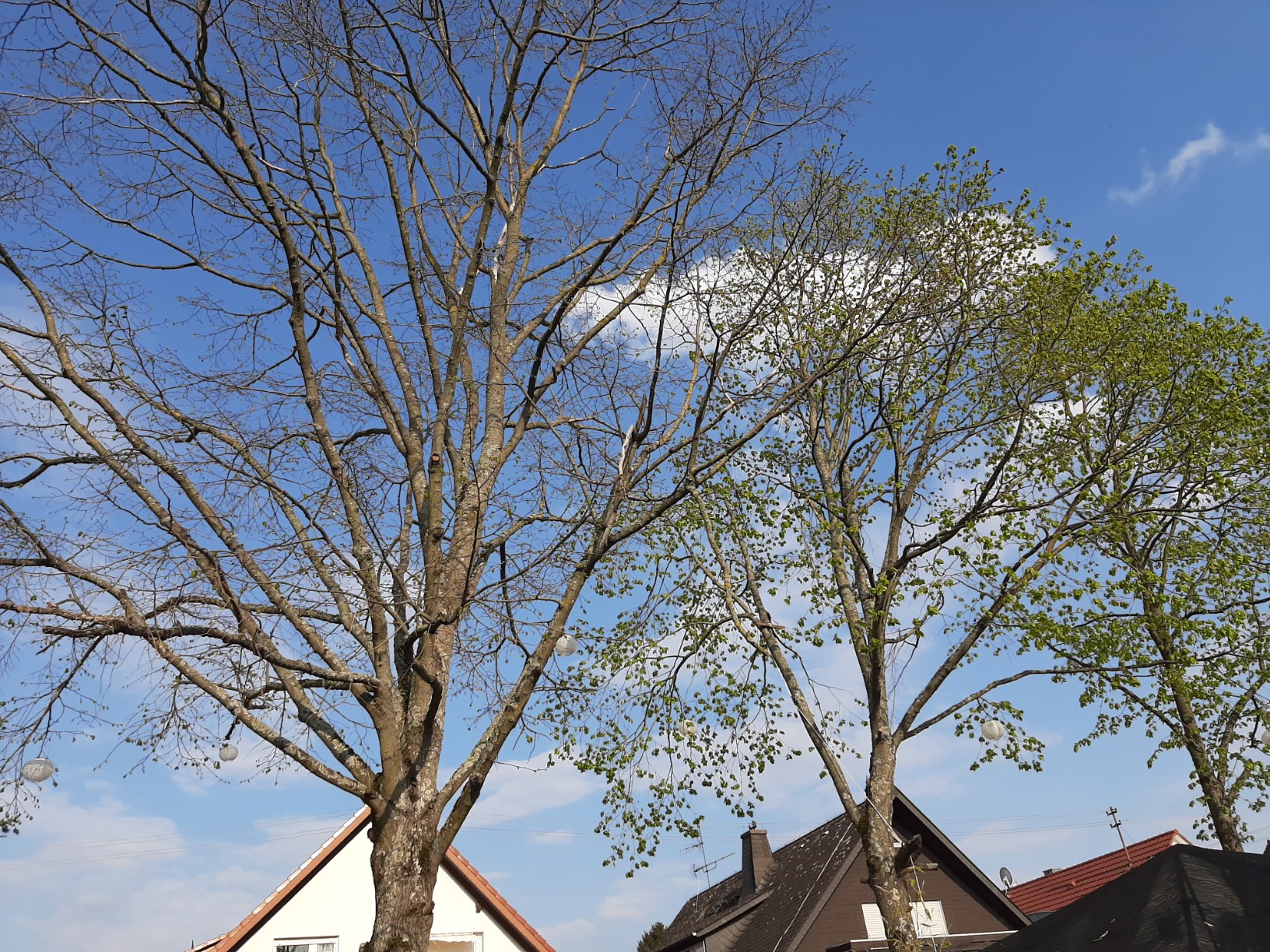 Wunderschönes Licht zur Hochzeit