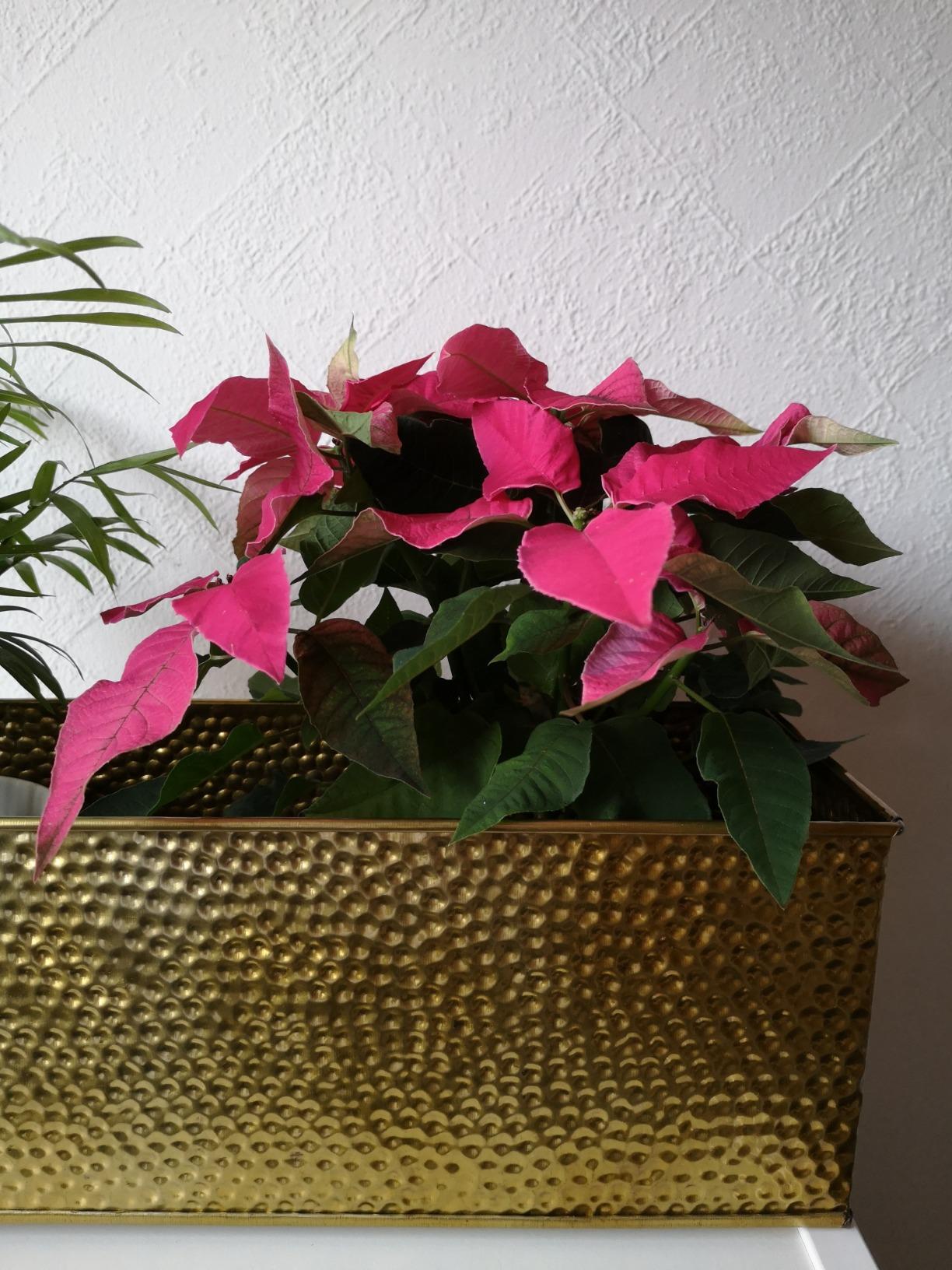 Tolles Geschenk
